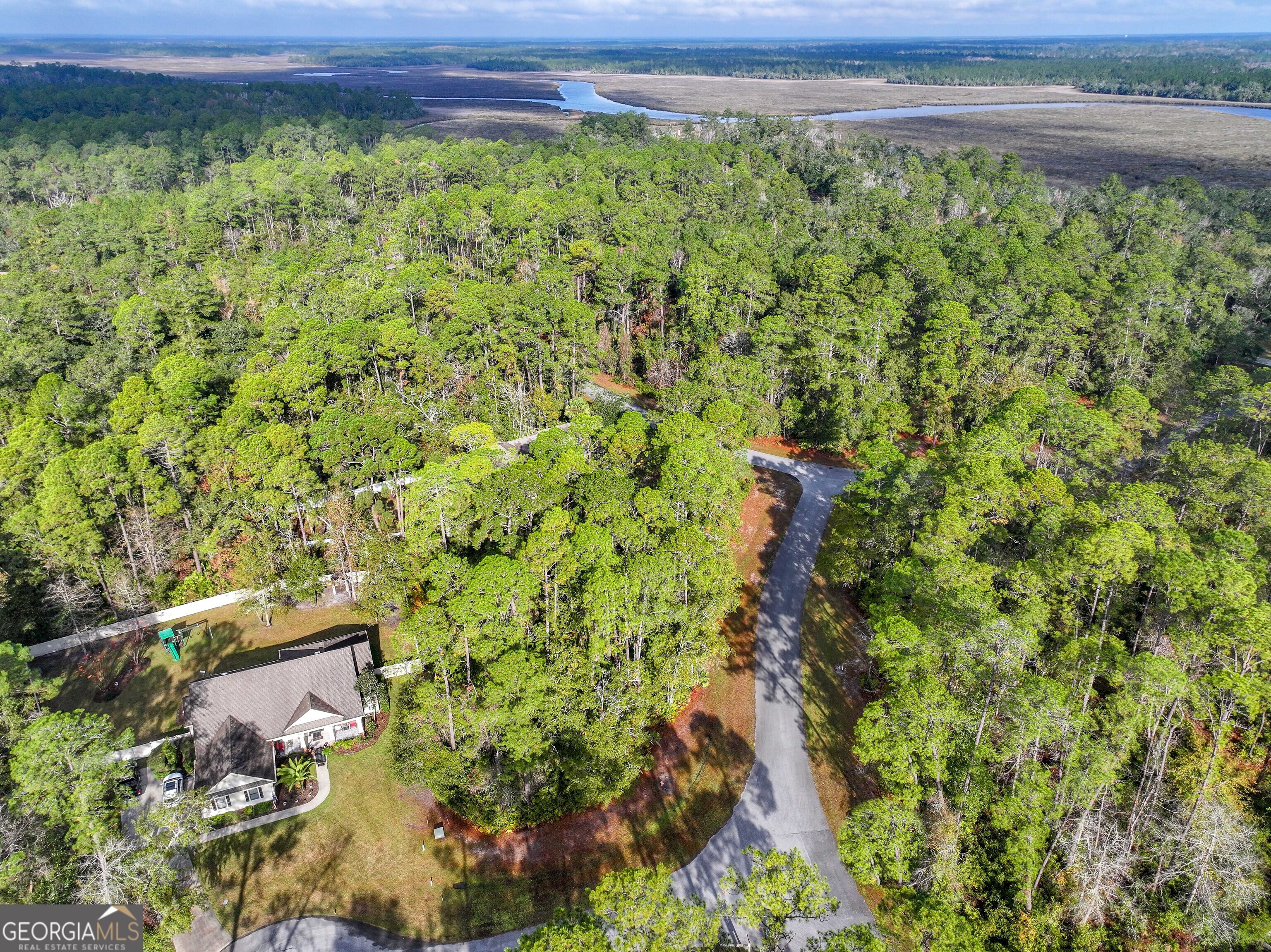 Lot 1 Turtle Dove Way Waverly, GA 31565 - Photo 11 of 24 a view of a lush green forest with a street