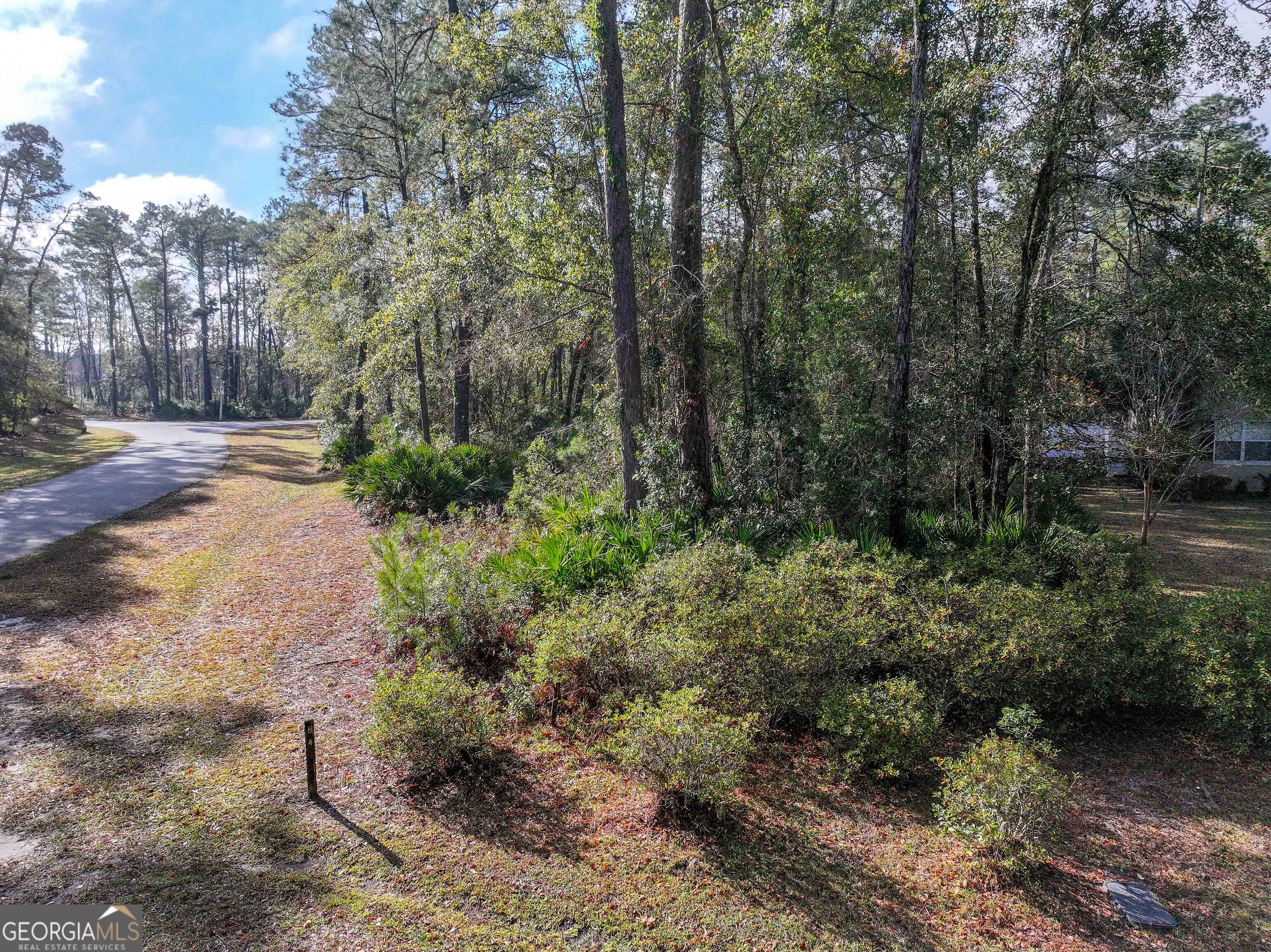 Lot 1 Turtle Dove Way Waverly, GA 31565 - Photo 12 of 24 a big yard with lots of green space and plants