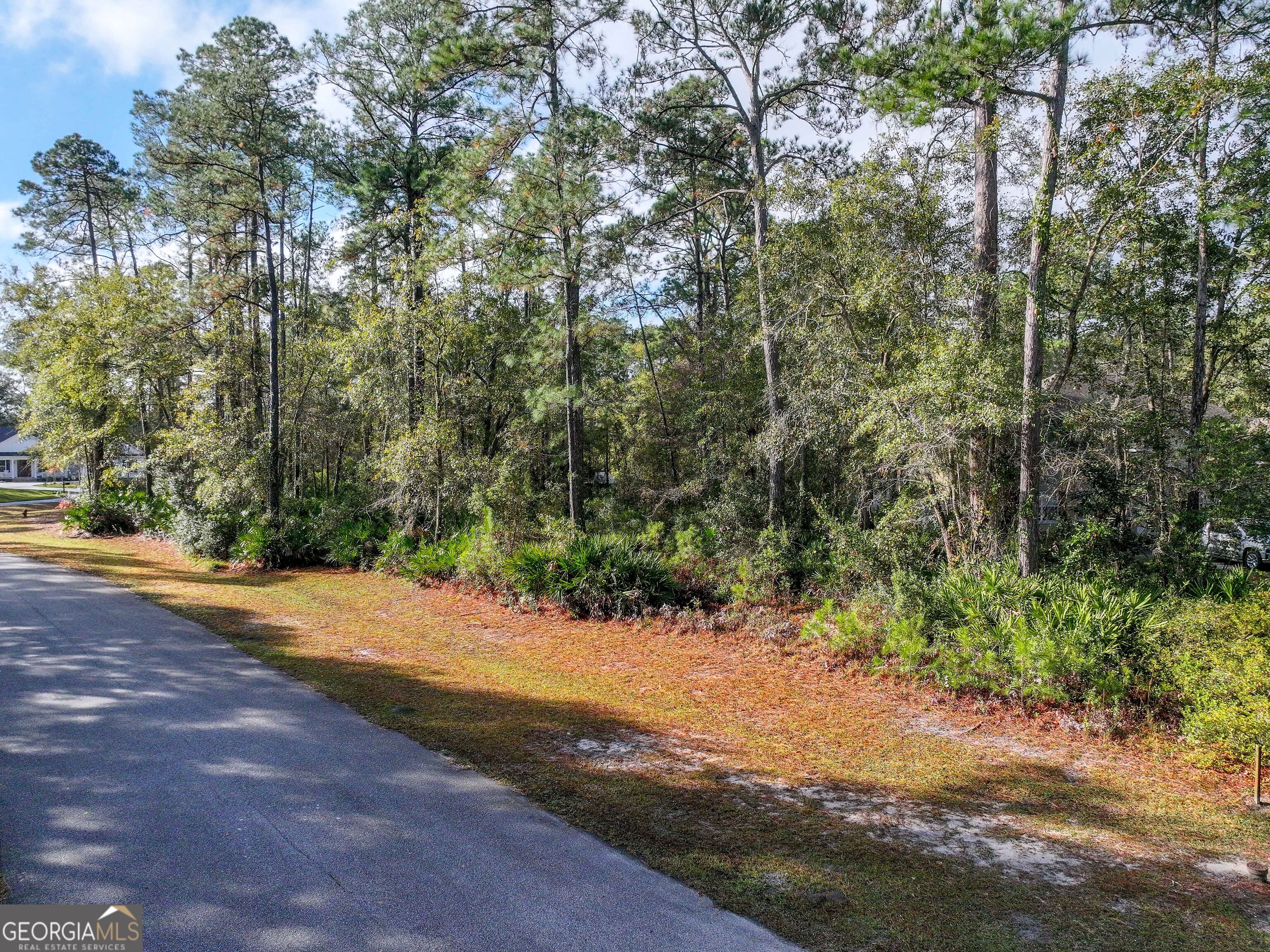 Lot 1 Turtle Dove Way Waverly, GA 31565 - Photo 13 of 24 a view of a yard with plants and trees