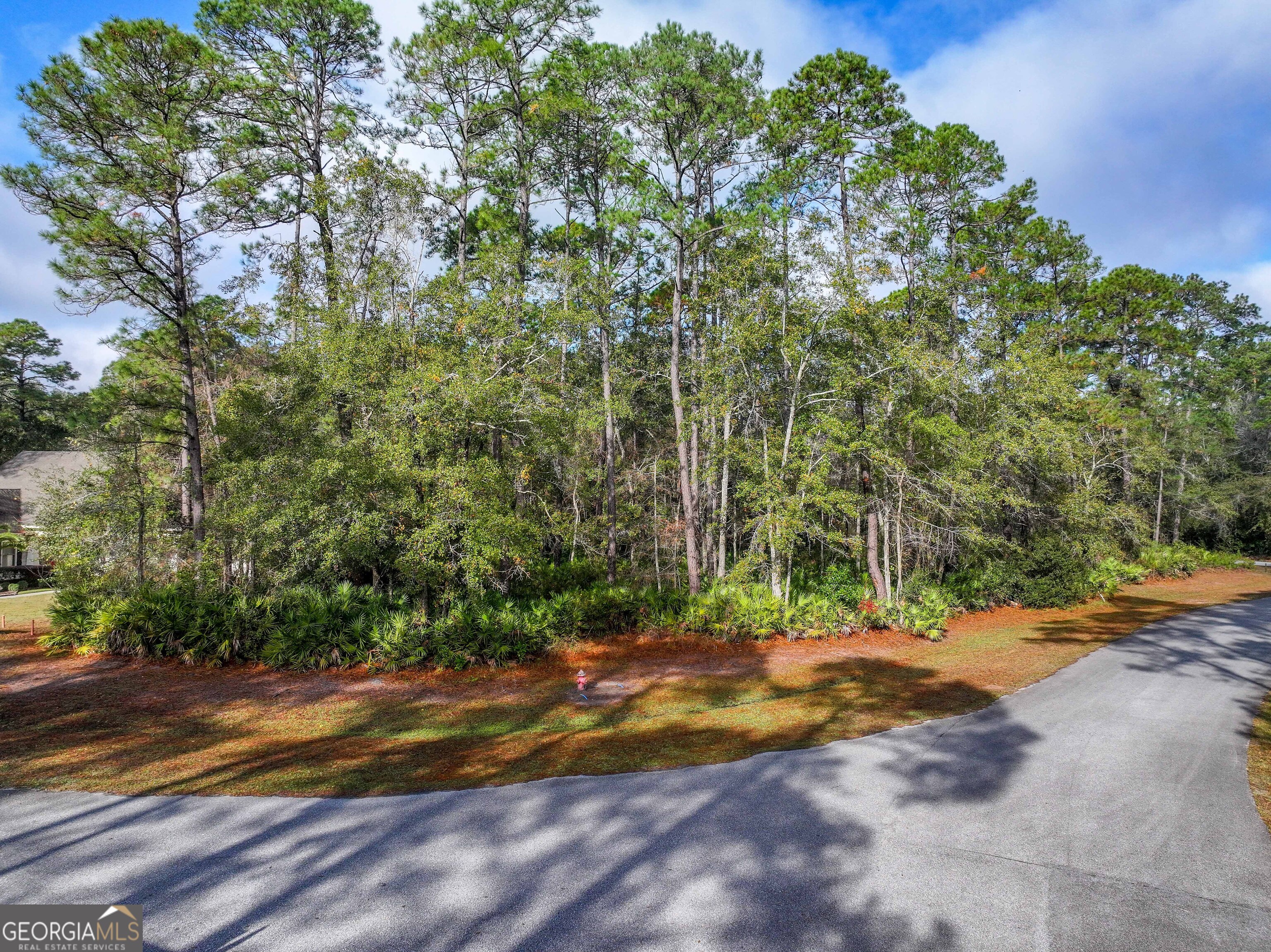 Lot 1 Turtle Dove Way Waverly, GA 31565 - Photo 14 of 24 a view of a yard with plants and trees