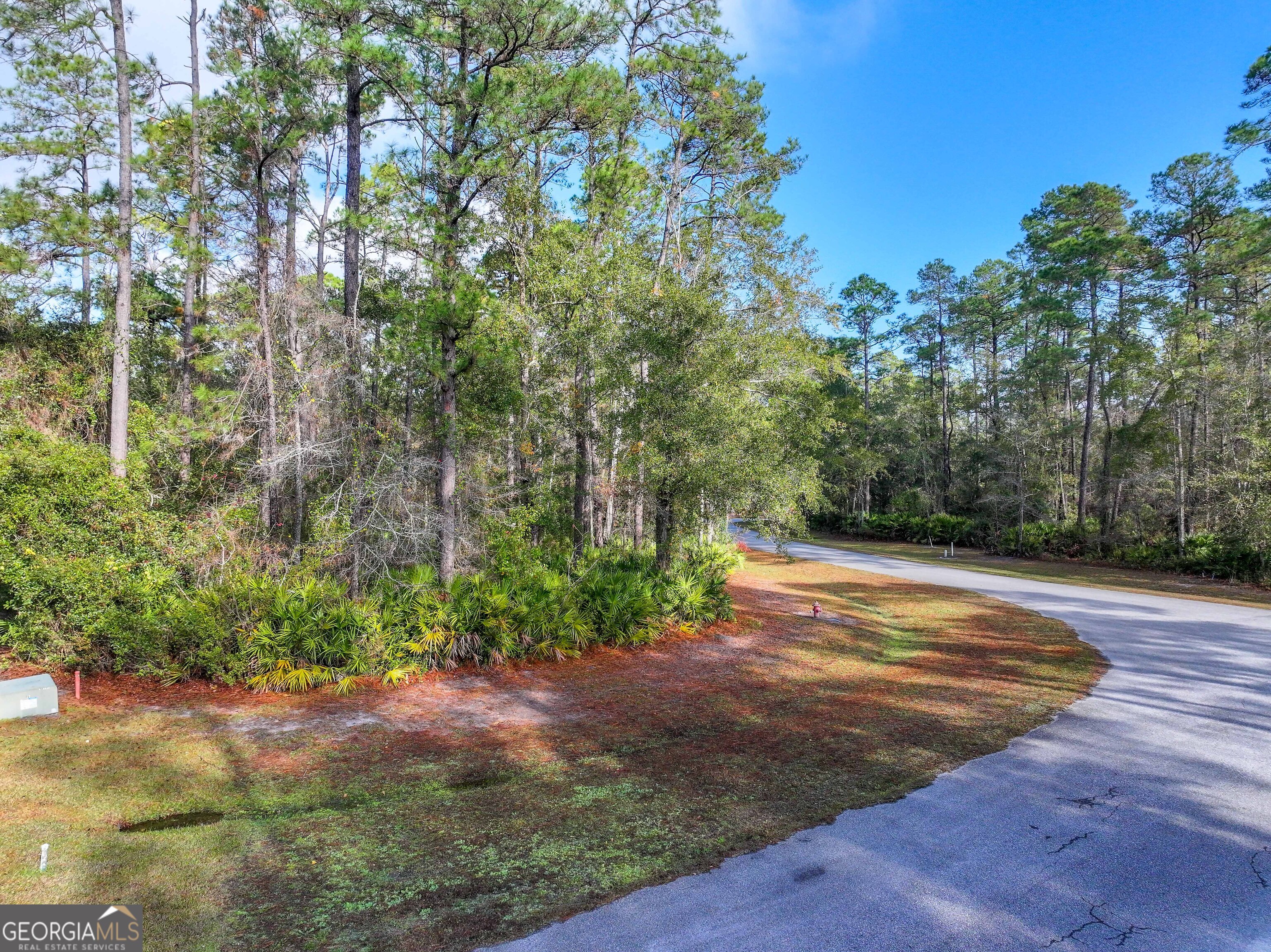 Lot 1 Turtle Dove Way Waverly, GA 31565 - Photo 15 of 24 a view of a yard with plants and trees