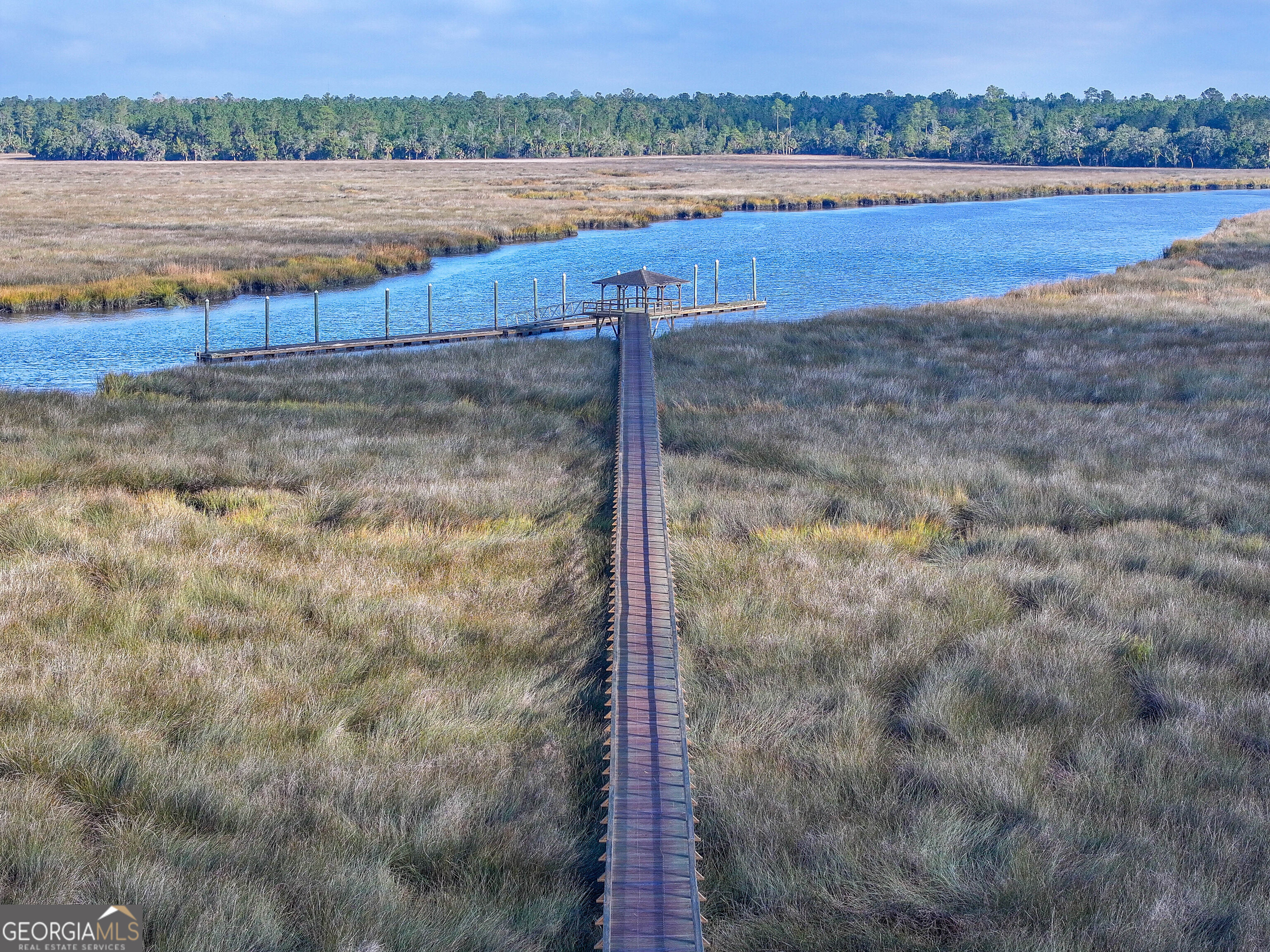 Lot 1 Turtle Dove Way Waverly, GA 31565 - Photo 18 of 24 a view of a lake from a yard