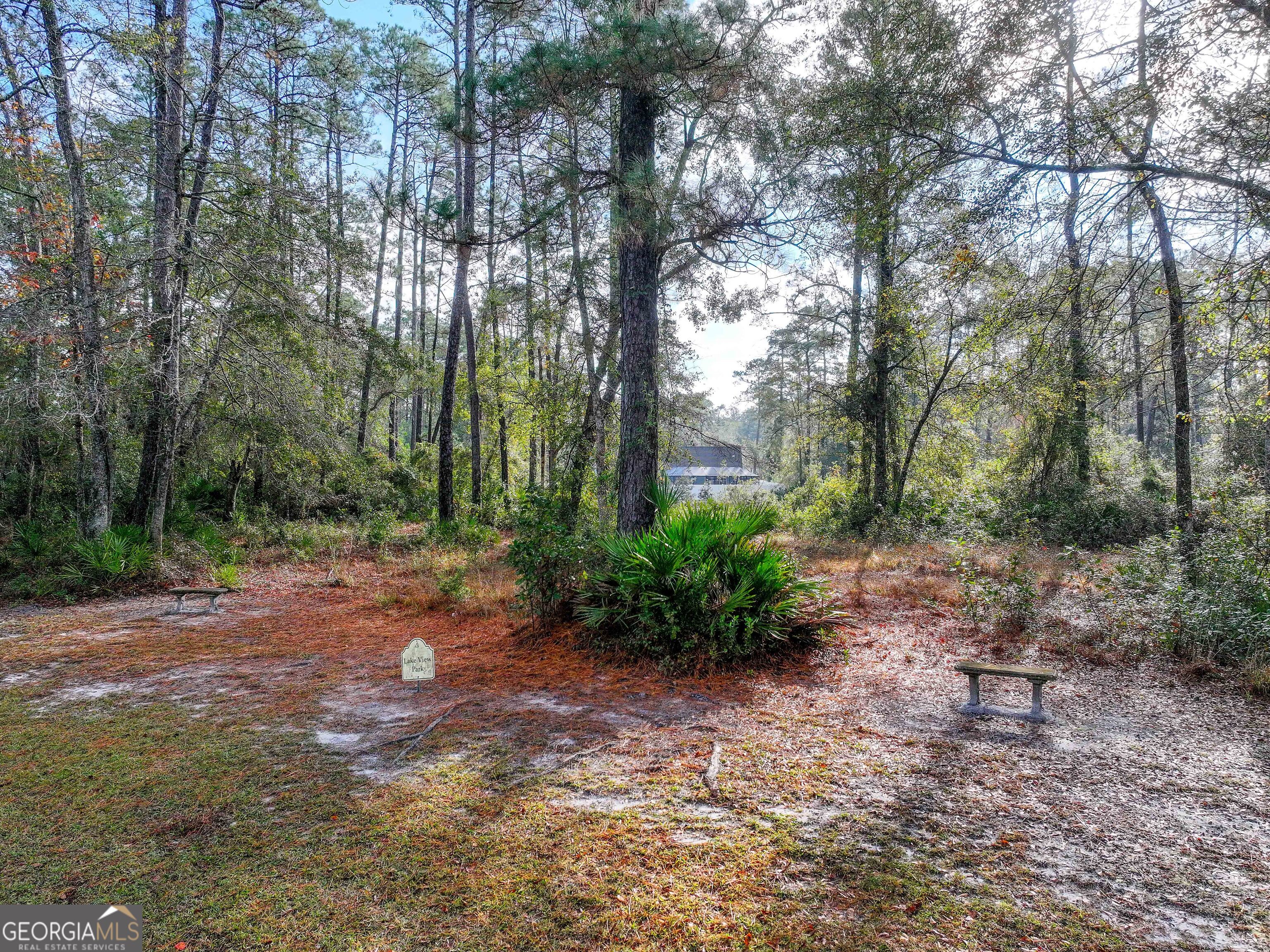Lot 1 Turtle Dove Way Waverly, GA 31565 - Photo 21 of 24 a view of a forest filled with trees