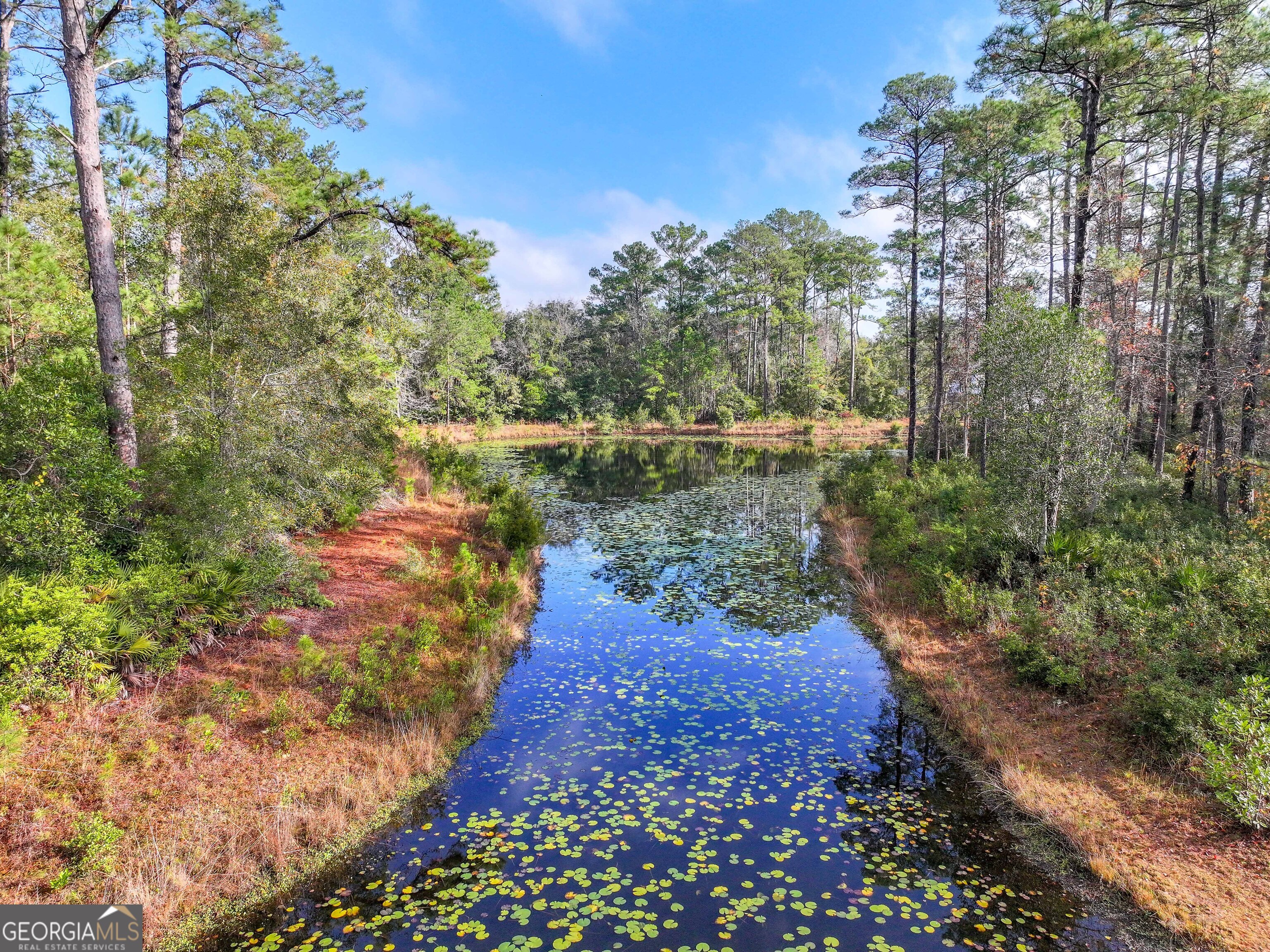 Lot 1 Turtle Dove Way Waverly, GA 31565 - Photo 22 of 24 a view of a pathway both side of yard