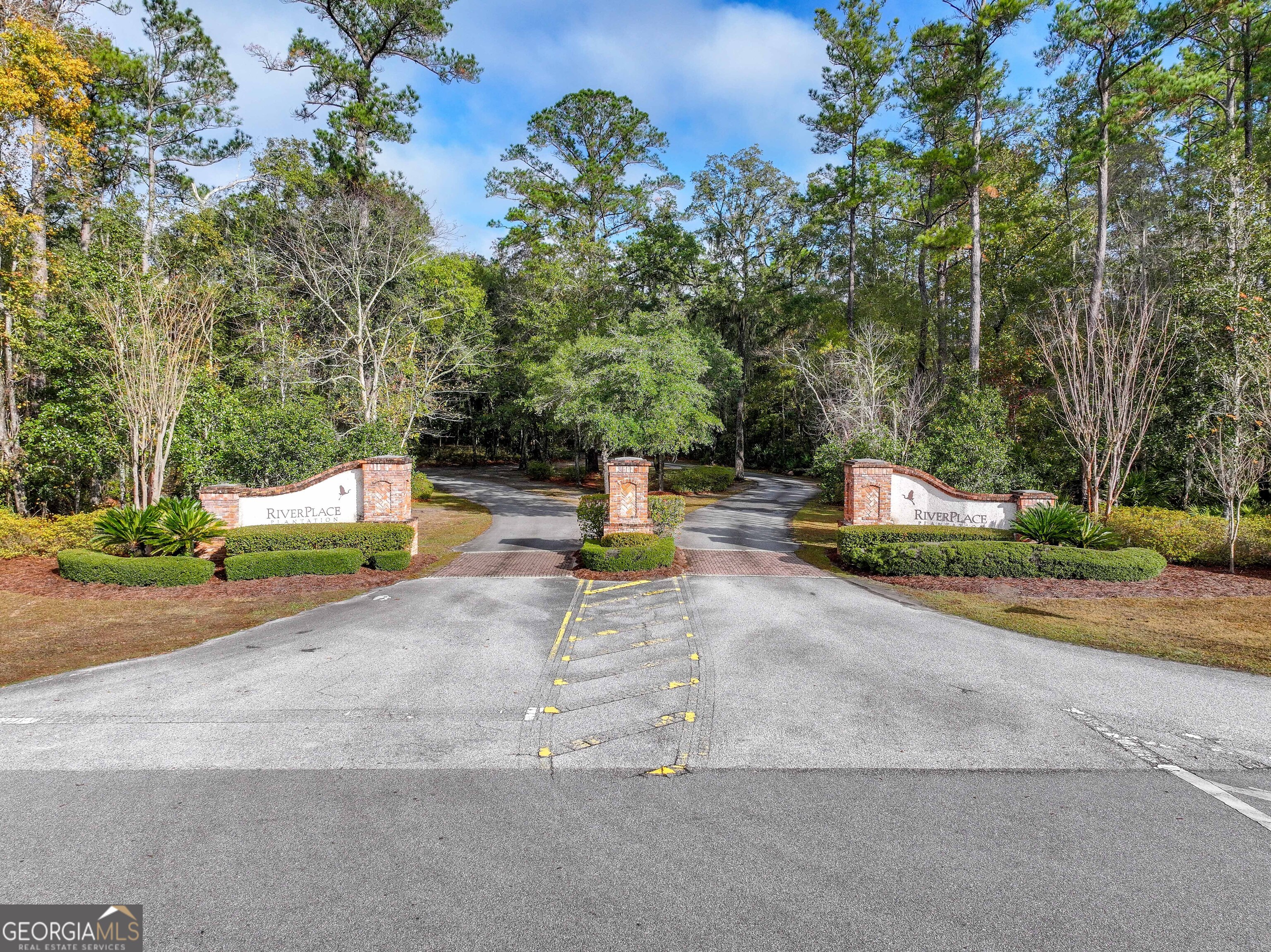 Lot 1 Turtle Dove Way Waverly, GA 31565 - Photo 6 of 24 a view of a park with large trees