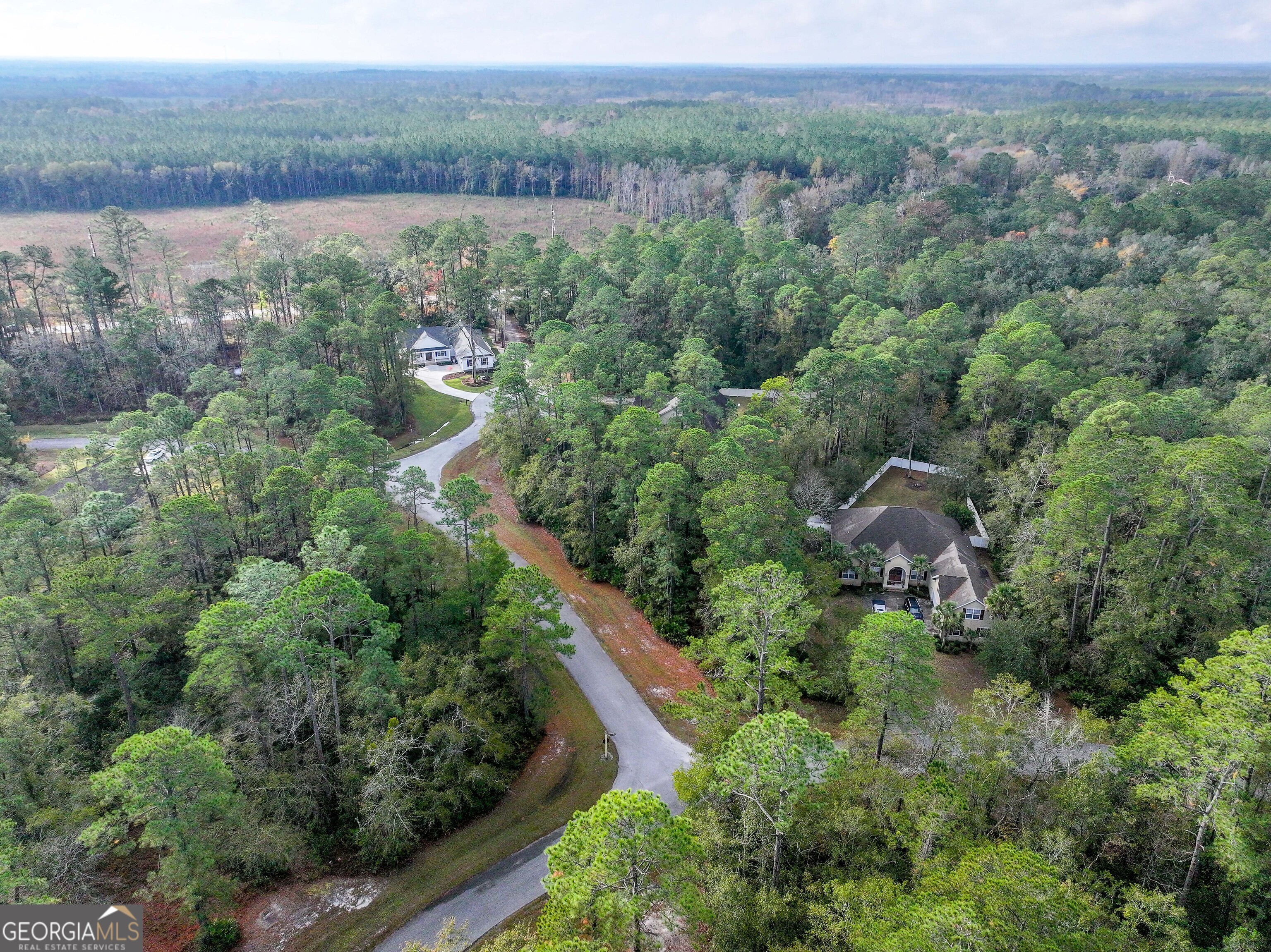Lot 1 Turtle Dove Way Waverly, GA 31565 - Photo 8 of 24 an aerial view of green landscape with trees houses and lake view