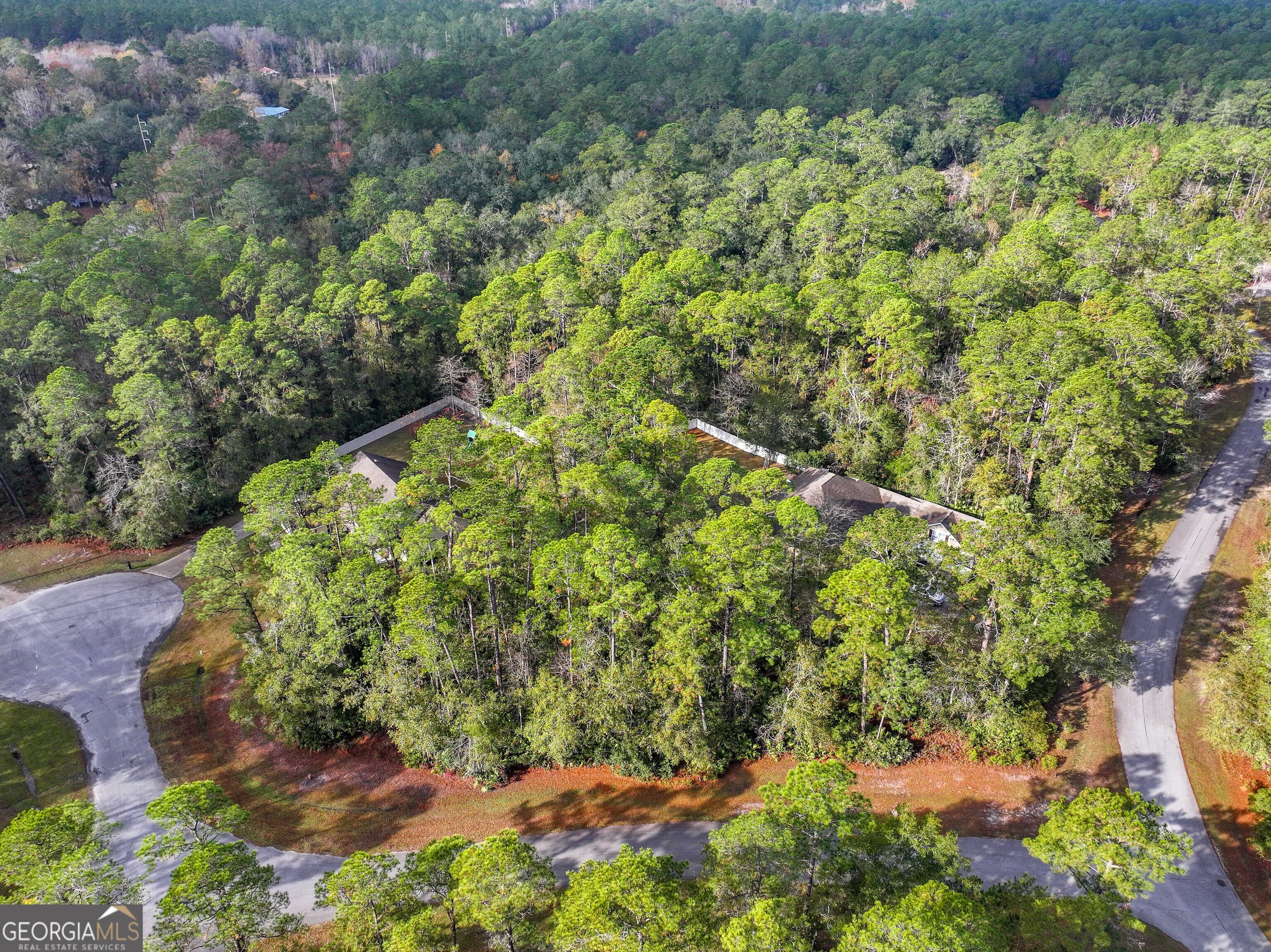 Lot 1 Turtle Dove Way Waverly, GA 31565 - Photo 10 of 24 a view of a garden