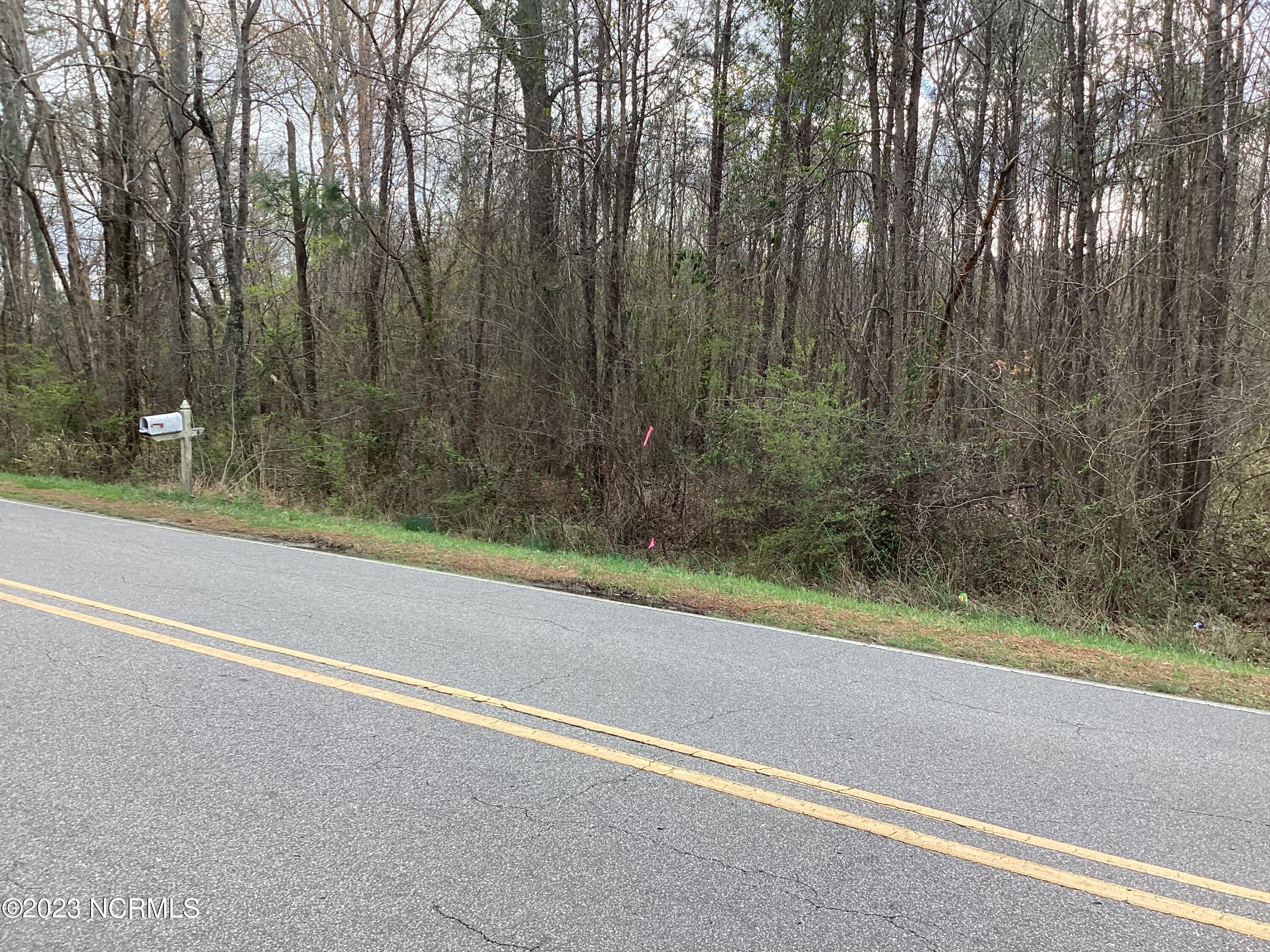0 Redman Road Rocky Mount, NC 27803 - Photo 7 of 7 corners are flagged