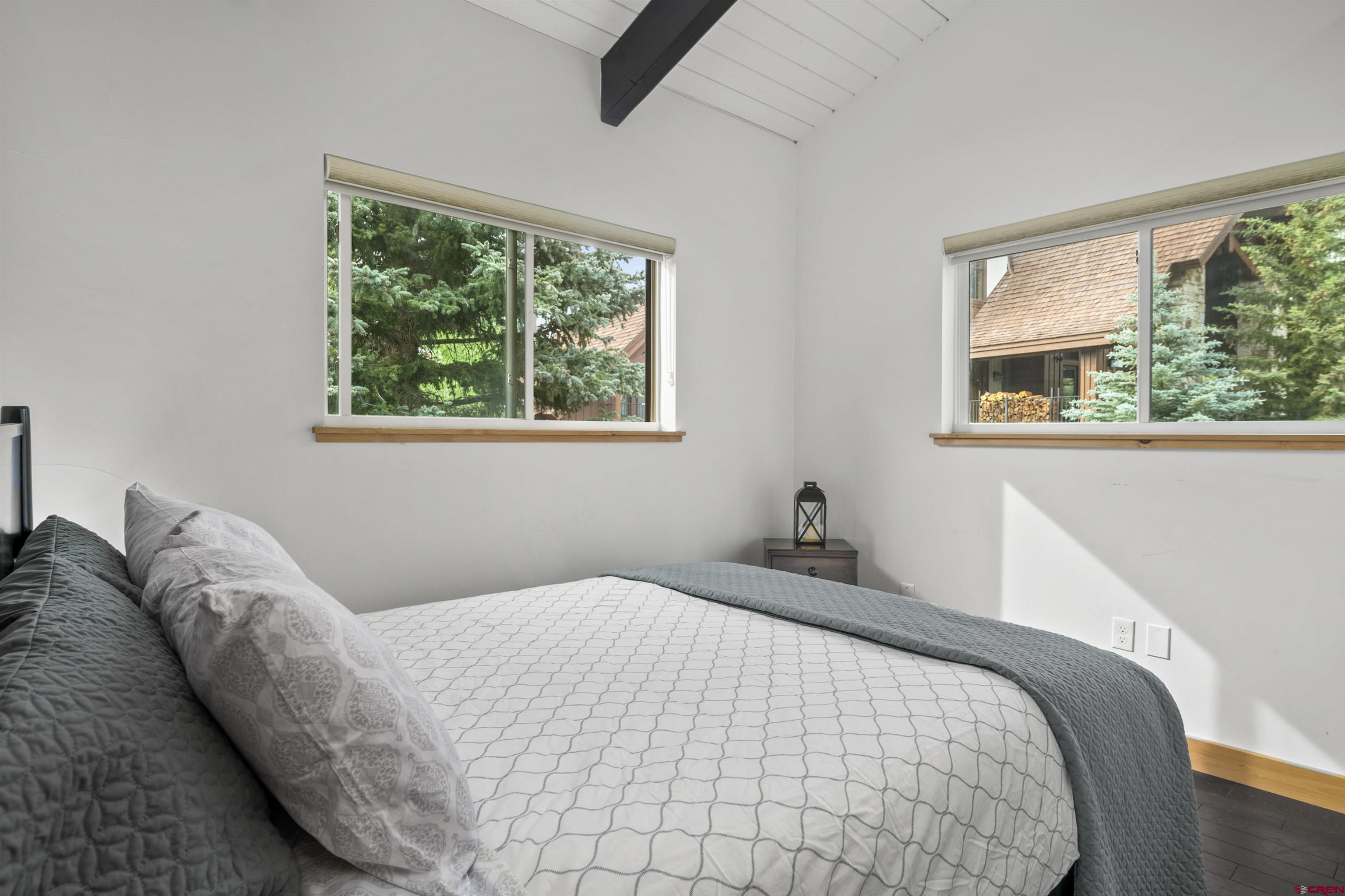 29 Treasury Road Crested Butte, CO 81225 - Photo 29 of 45