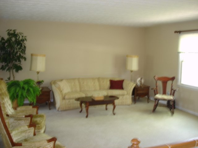 202 Springvale Drive Mauldin, SC 29662 - Photo 2 of 12 Gallery Image 2