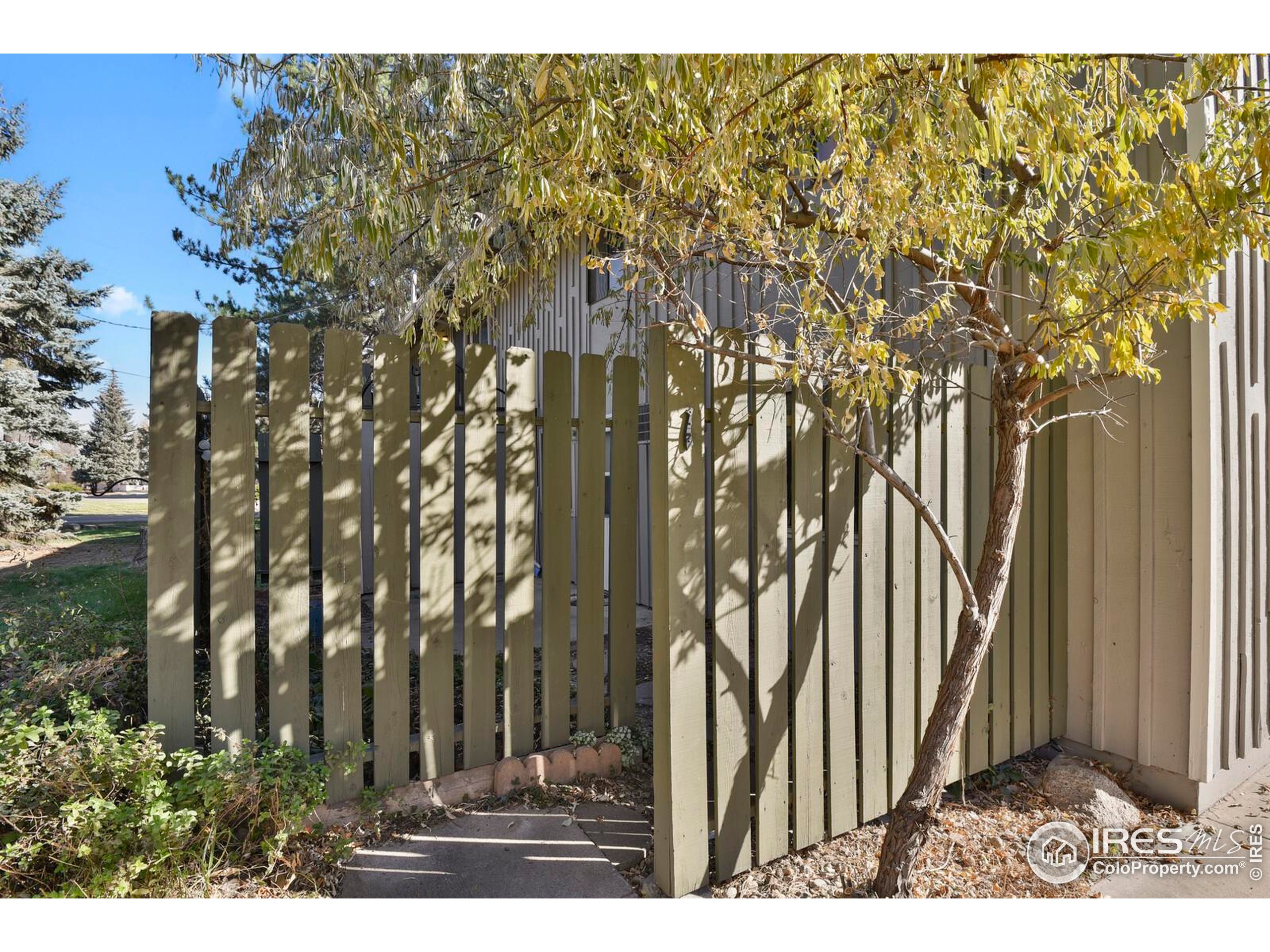 8050 Niwot Road, Unit 1 Niwot, CO 80503 - Photo 3 of 20 a view of outdoor space and yard