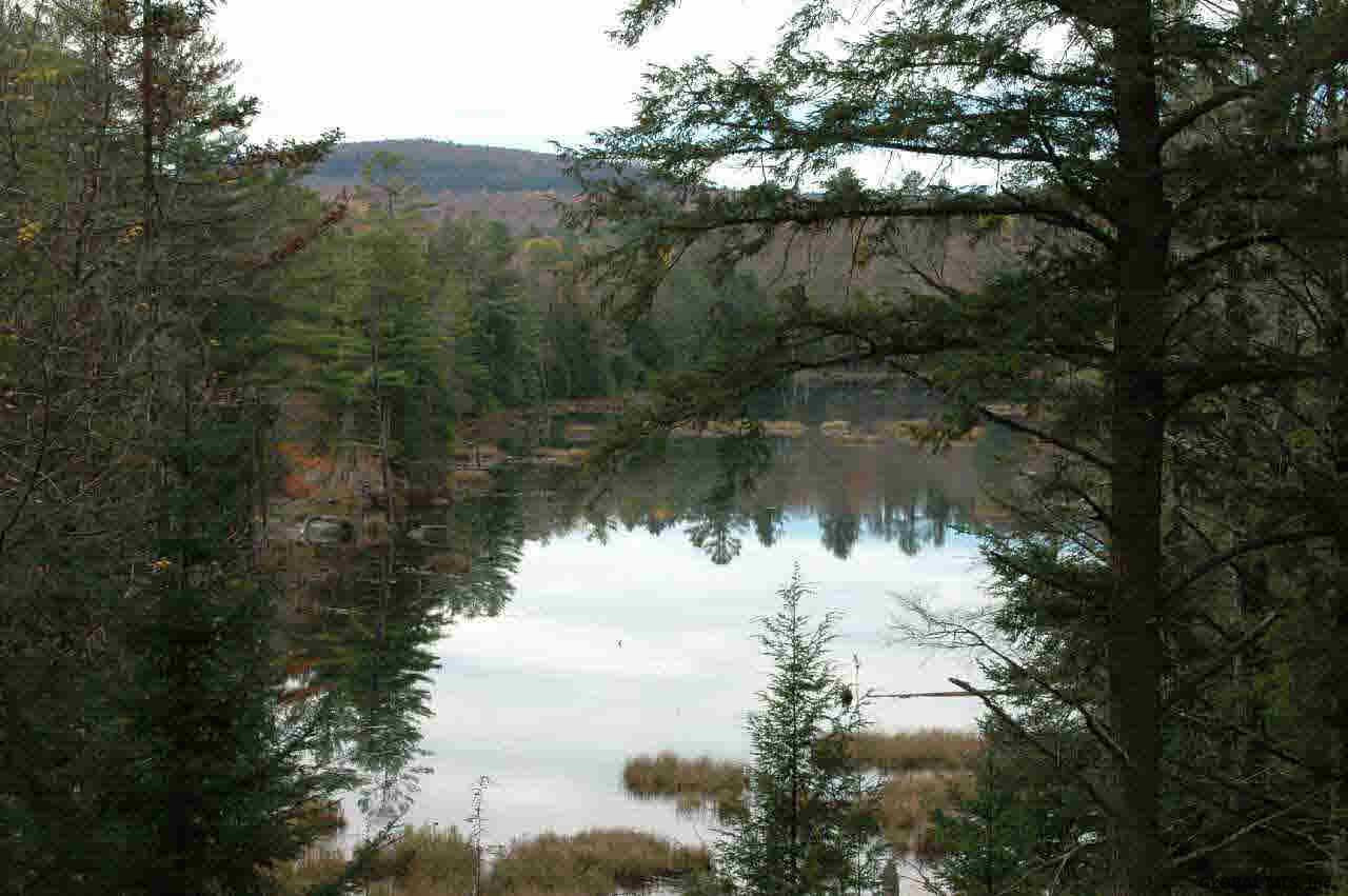 291 Longs Hill Road Minerva, NY 12851 - Photo 26 of 35 Photo 26