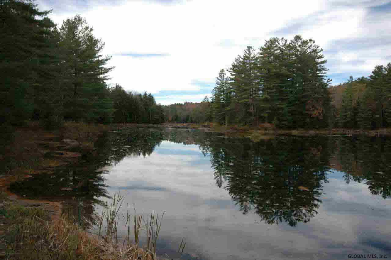 291 Longs Hill Road Minerva, NY 12851 - Photo 30 of 35 Photo 31