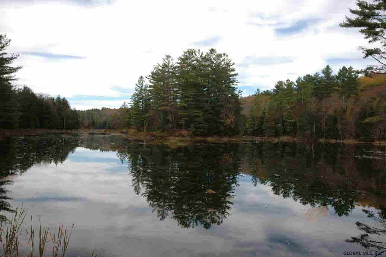 291 Longs Hill Road Minerva, NY 12851 - Photo 31 of 35 Photo 32