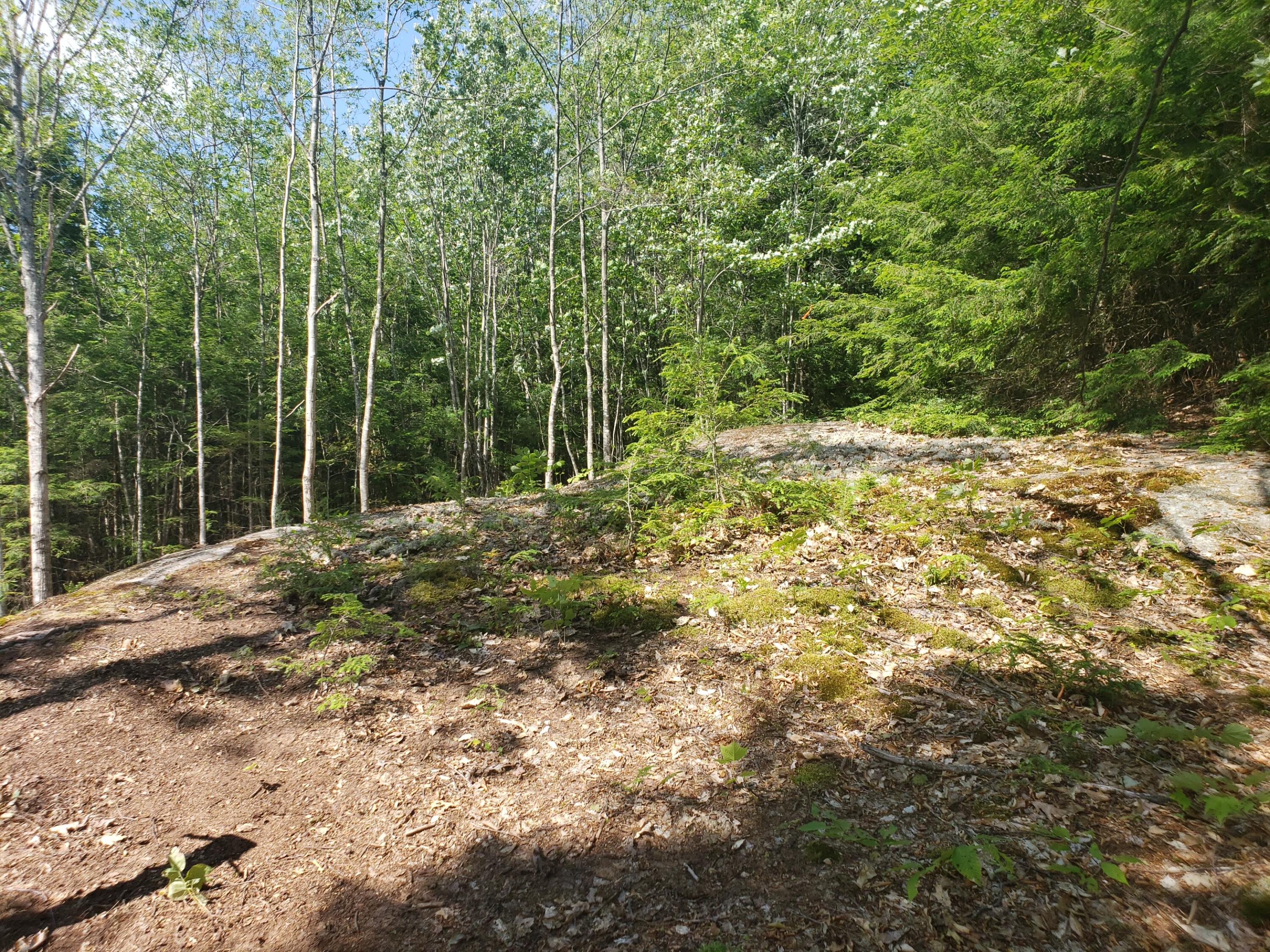 F French Hill Road Bethel, ME 04217 - Photo 15 of 18 Nice rock formation at clearing