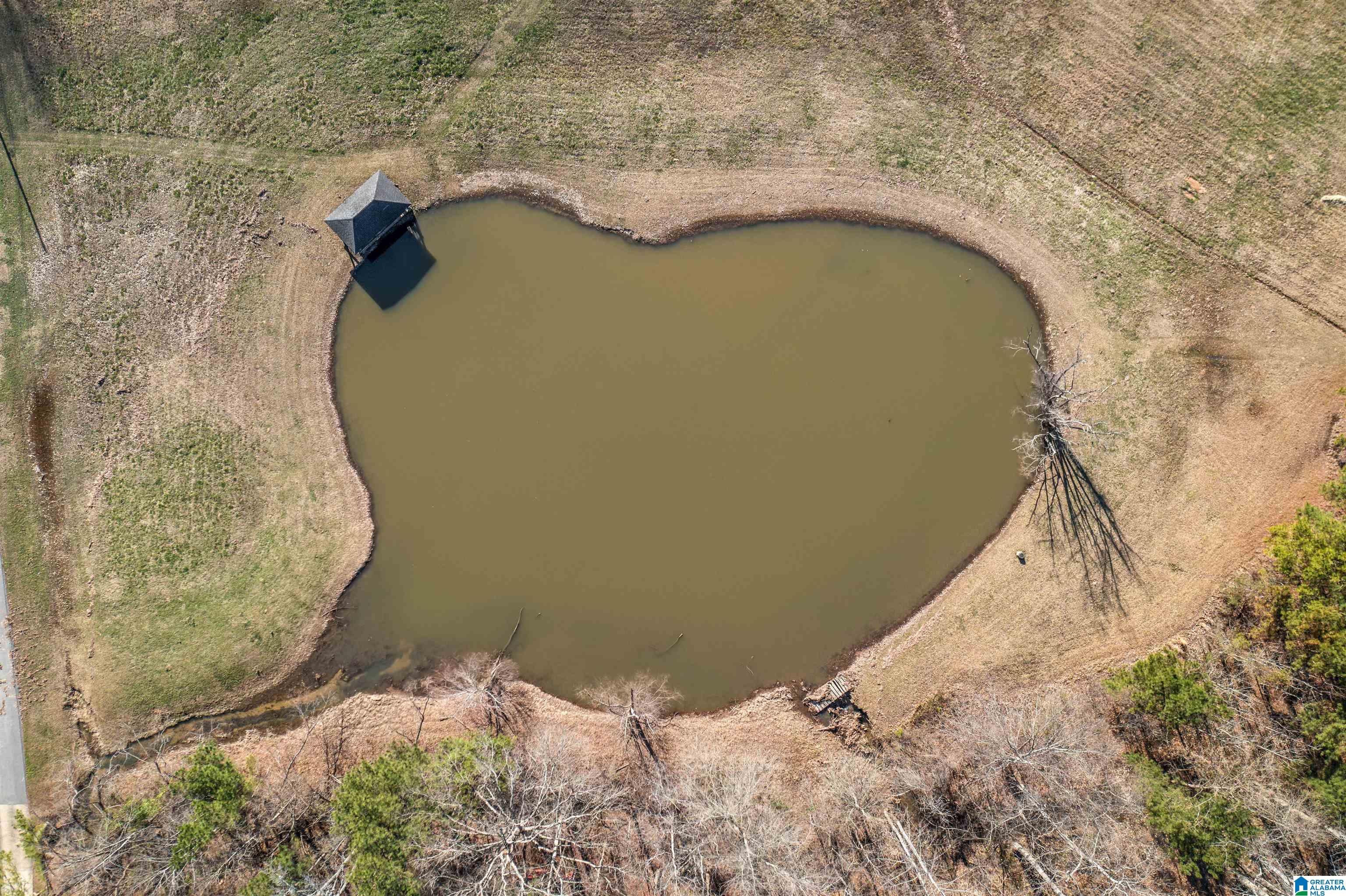 40 Deer Cove Road Oxford, AL 36203 - Photo 19 of 69