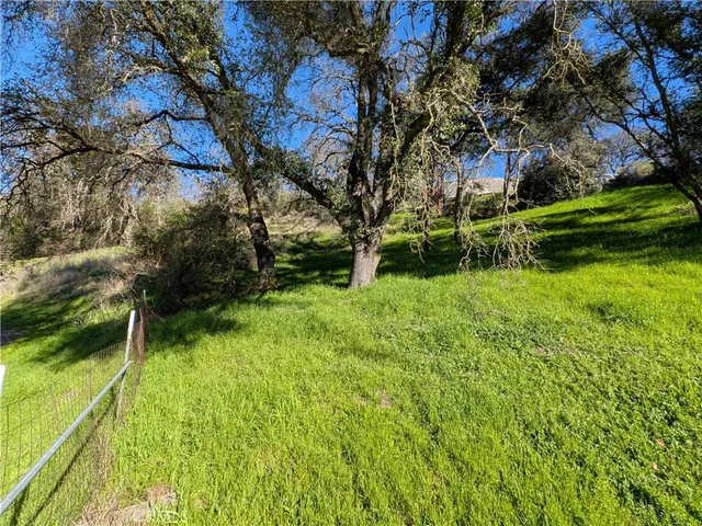 a view of backyard with green space