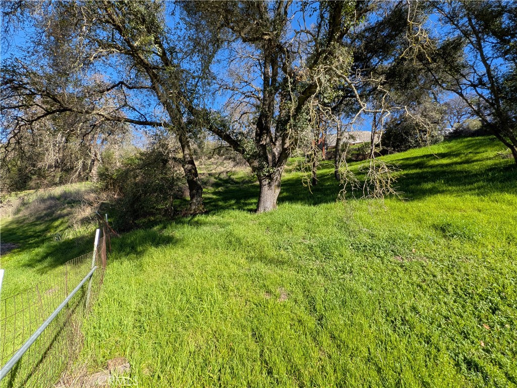 5857 Roland Drive Lucerne, CA 95458 - Photo 7 of 11 a view of backyard with green space