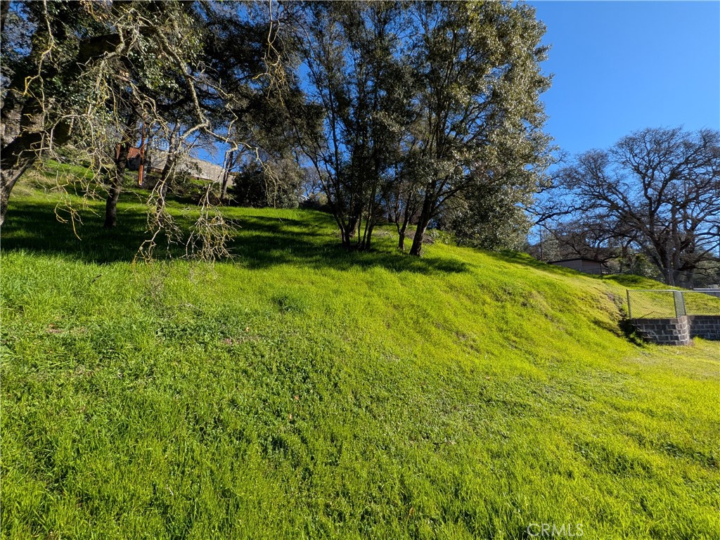 5857 Roland Drive Lucerne, CA 95458 - Photo 8 of 11 a view of a yard with large trees