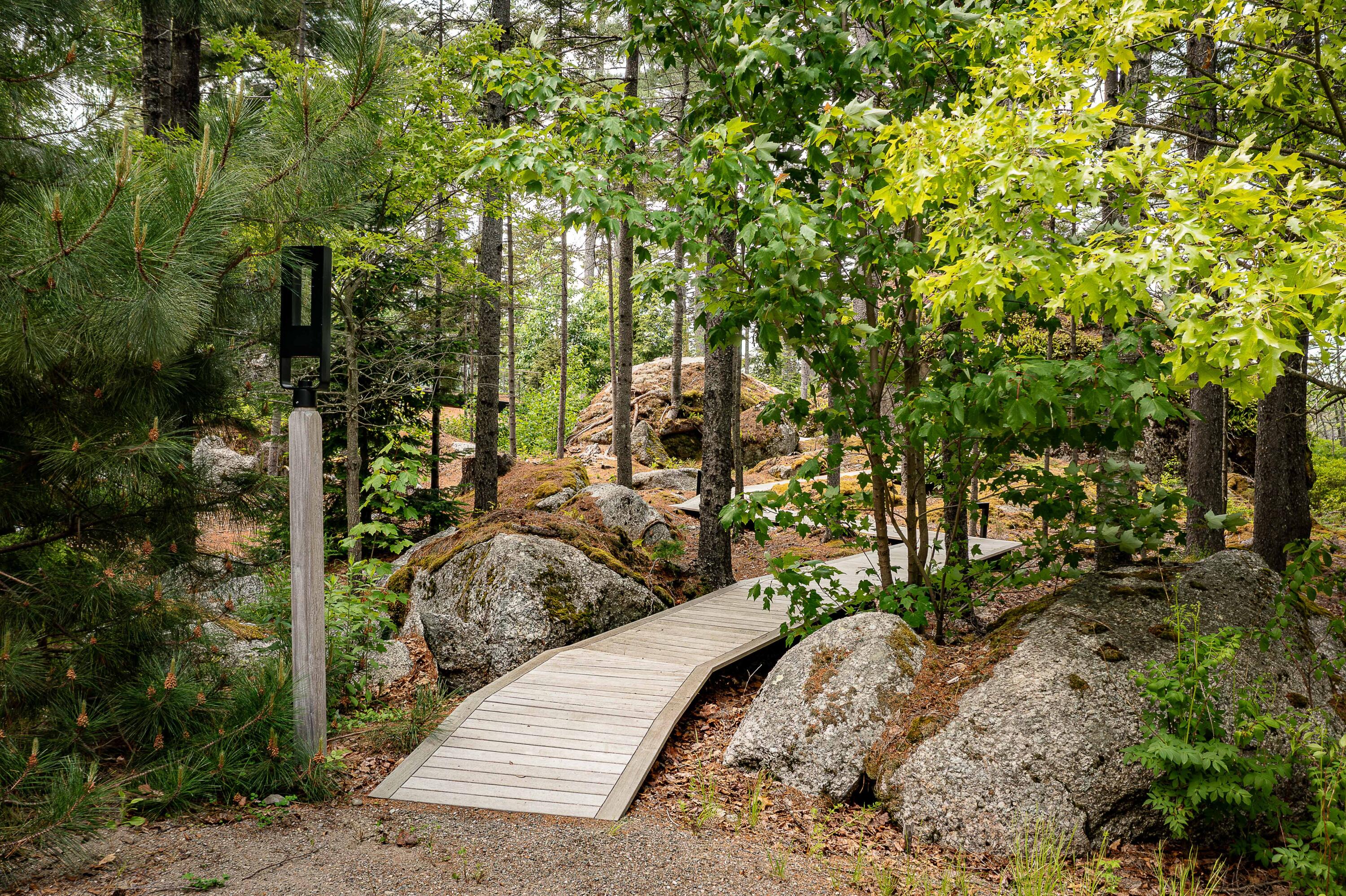 12 Moose Tuchus Point Dedham, ME 04429 - Photo 50 of 66 Walkway Entrance