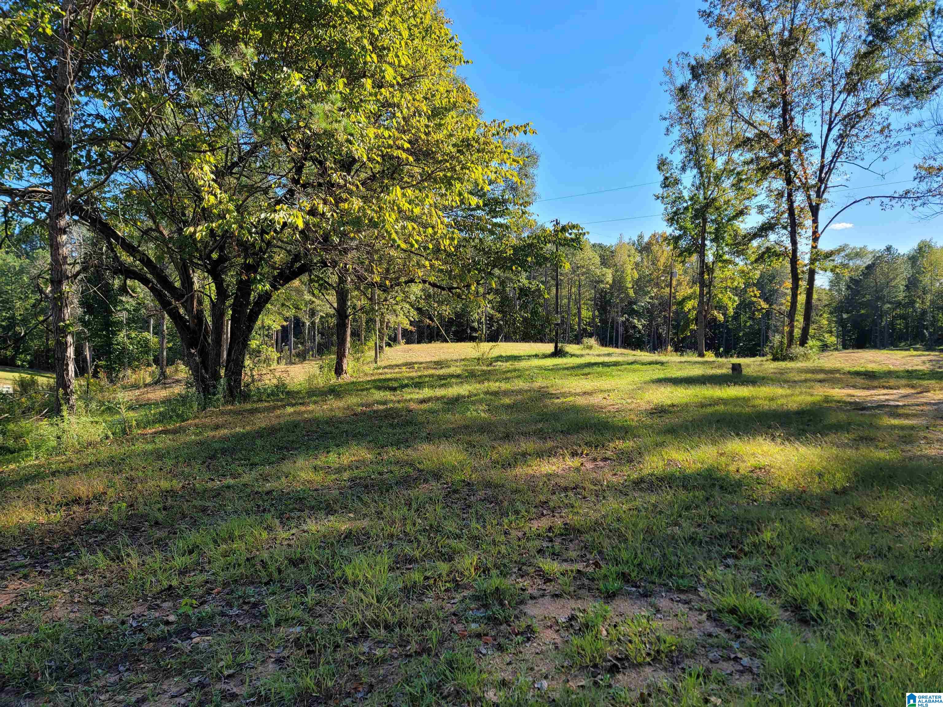 690 Tumblin Mill Road, Unit 4 ACRES Heflin, AL 36264 - Photo 1 of 6