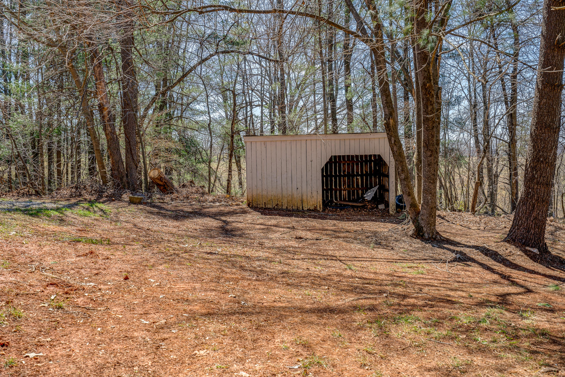 6489 Joppa Mill Road Moneta, VA 24121 - Photo 33 of 39 DSC06565_6_7_8_9