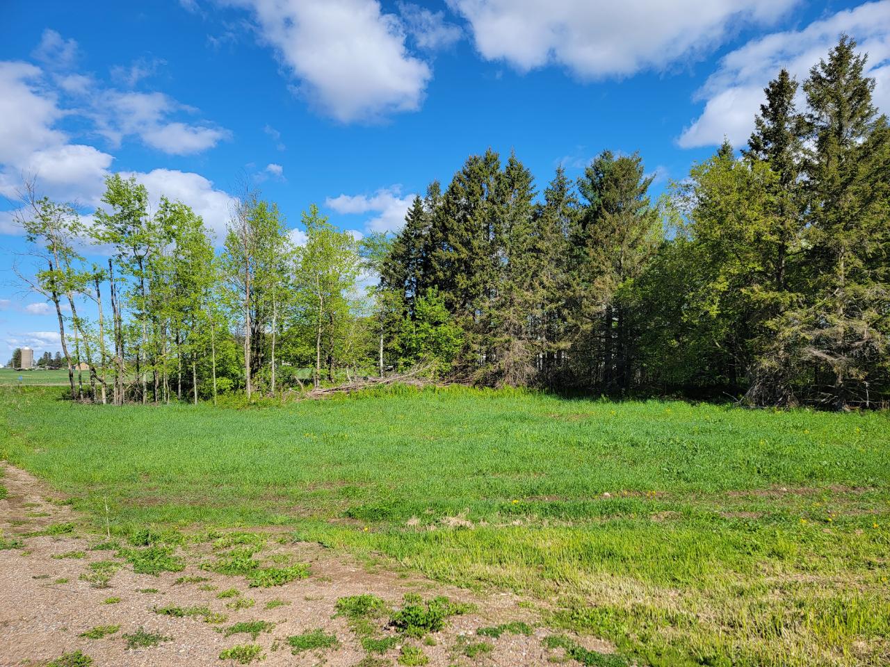 N4869 Star Neva Road Antigo, WI 54409 - Photo 7 of 24 Gallery Image 7