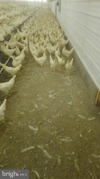 989 Goshen Mill Road Peach Bottom, PA 17563 - Photo 80 of 94