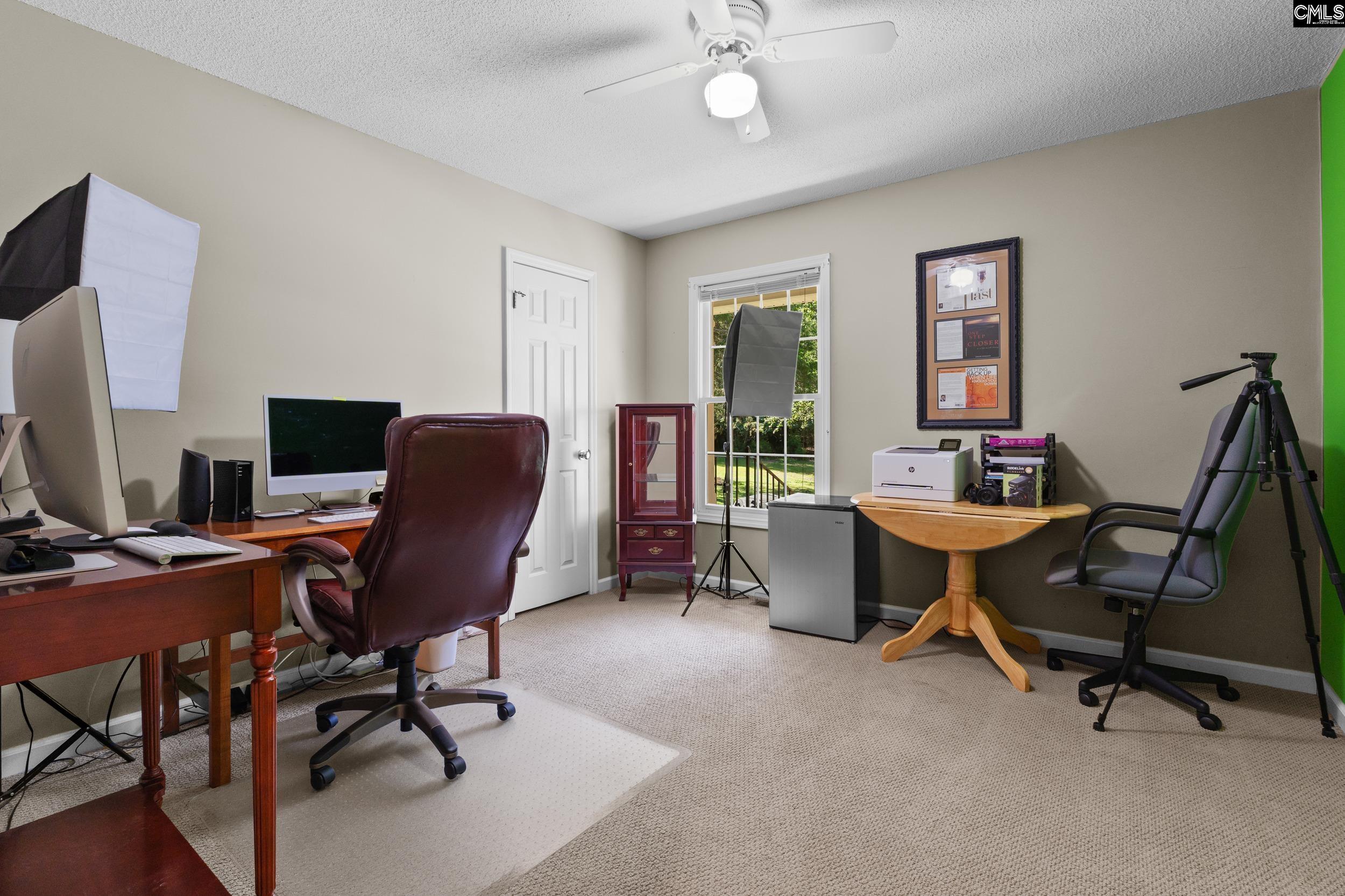 143 Killian Point Circle Chapin, SC 29036 - Photo 29 of 46