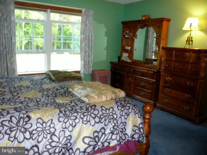 101 Robbins Road Pilesgrove, NJ 08098 - Photo 11 of 21 Bedroom - Main
