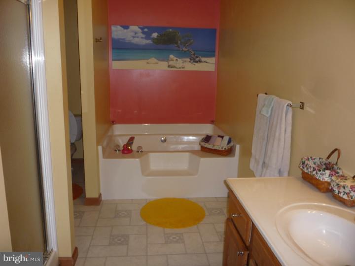 101 Robbins Road Pilesgrove, NJ 08098 - Photo 12 of 21 Master Bathroom