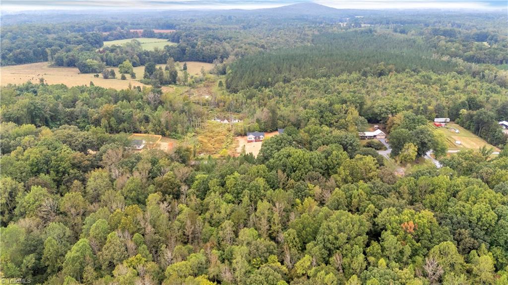 4379 Timber Lea Lane Ramseur, NC 27316 - Photo 25 of 26