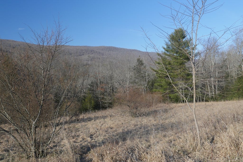 Tbd Poor Valley Road, Unit 118A9 Ceres, VA 24318 - Photo 11 of 38 Gallery Image 11