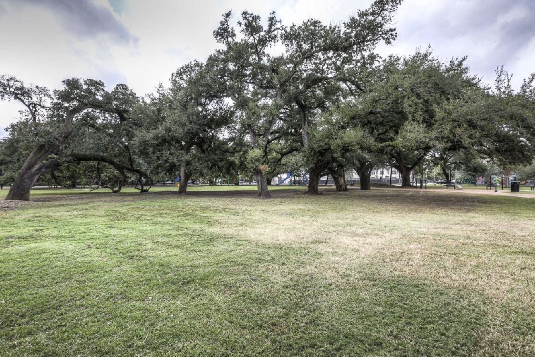 3023 Austin Street Houston, TX 77004 - Photo 33 of 35