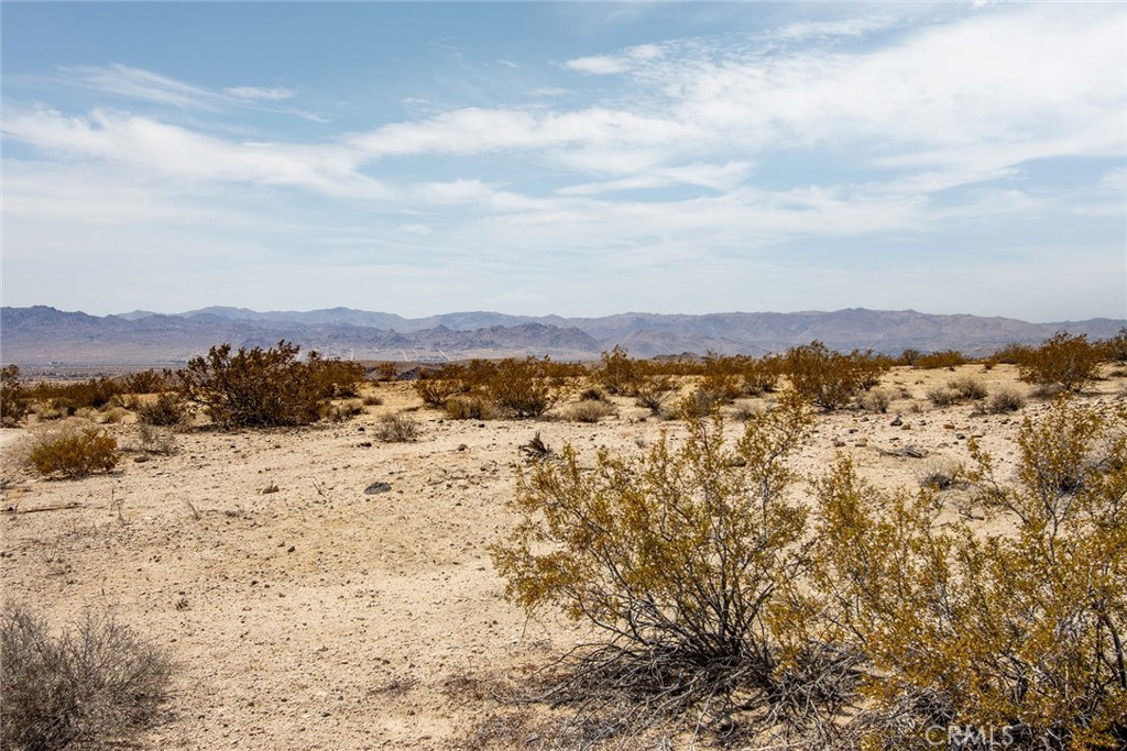 2549 Delaware Avenue Joshua Tree, CA 92252 - Photo 17 of 18