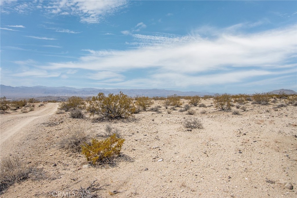 2549 Delaware Avenue Joshua Tree, CA 92252 - Photo 2 of 18