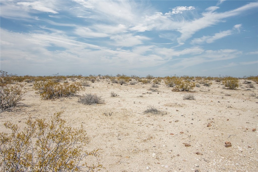 2549 Delaware Avenue Joshua Tree, CA 92252 - Photo 4 of 18