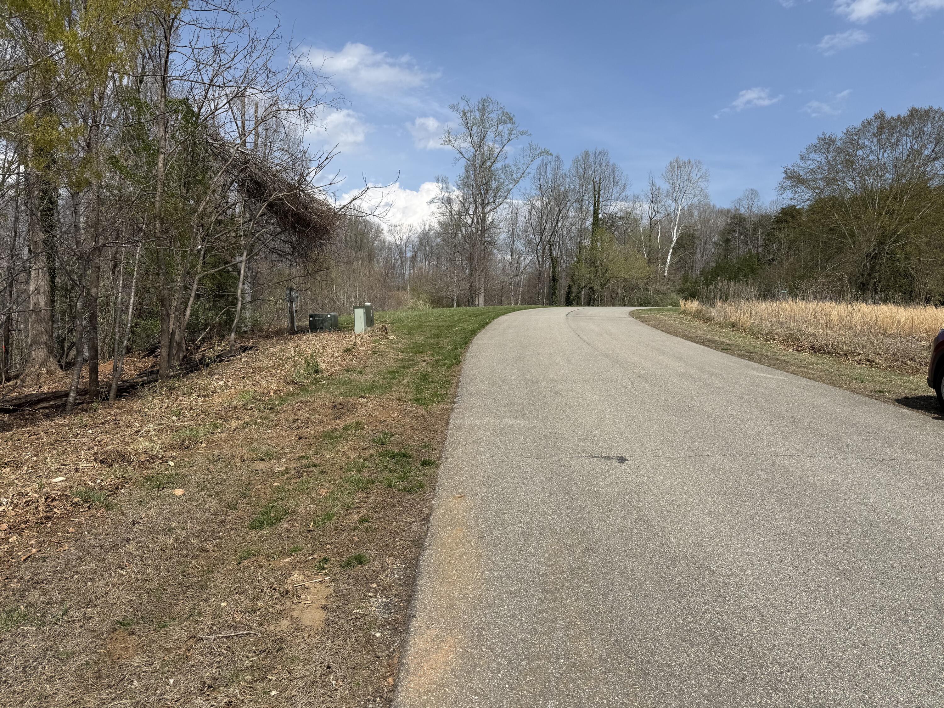 Lot 13 Minnow Lane Goodview, VA 24095 - Photo 11 of 12 a view of a yard with a large tree