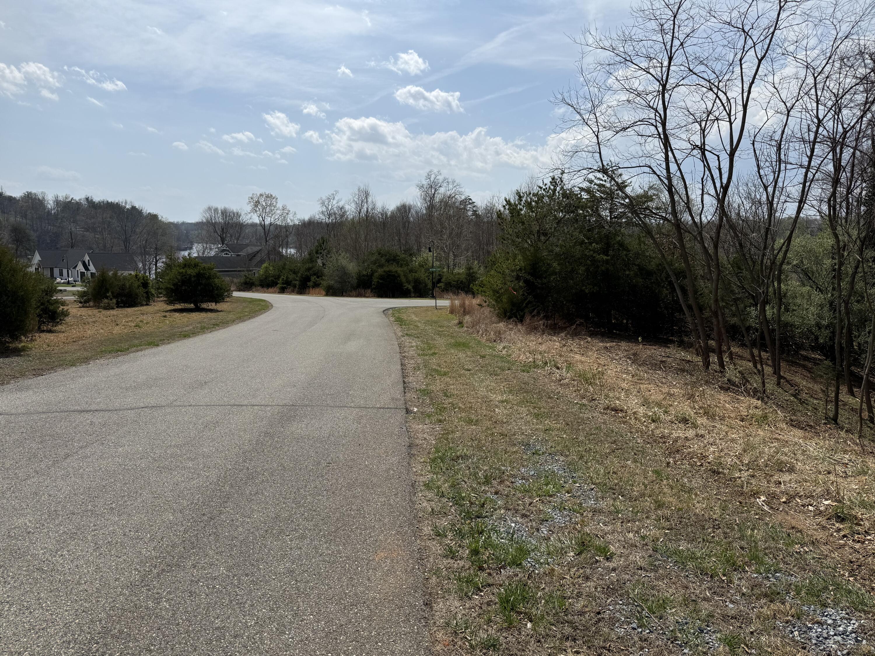 Lot 13 Minnow Lane Goodview, VA 24095 - Photo 12 of 12 a view of outdoor space