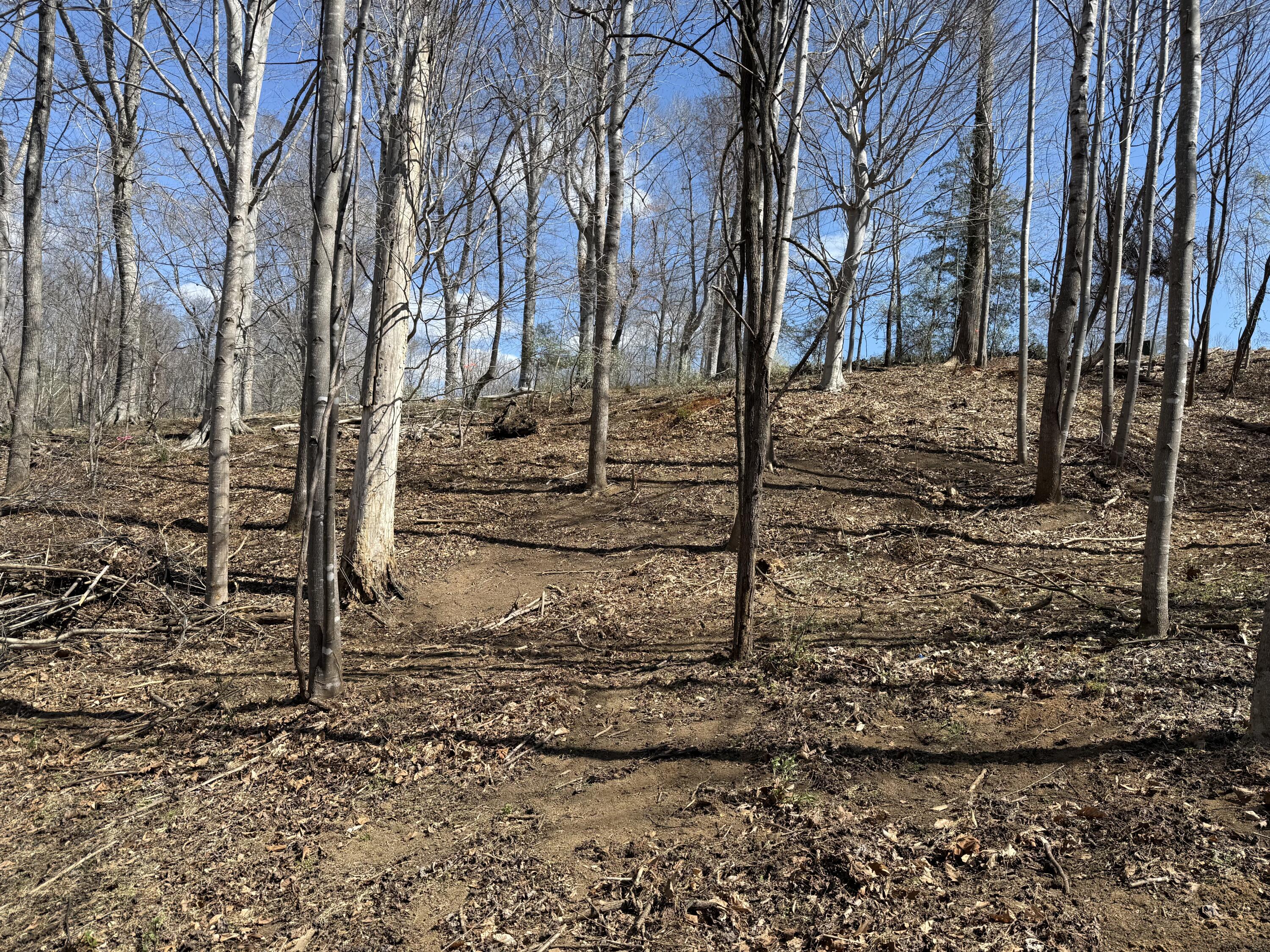 Lot 13 Minnow Lane Goodview, VA 24095 - Photo 2 of 12 a view of covered with snow