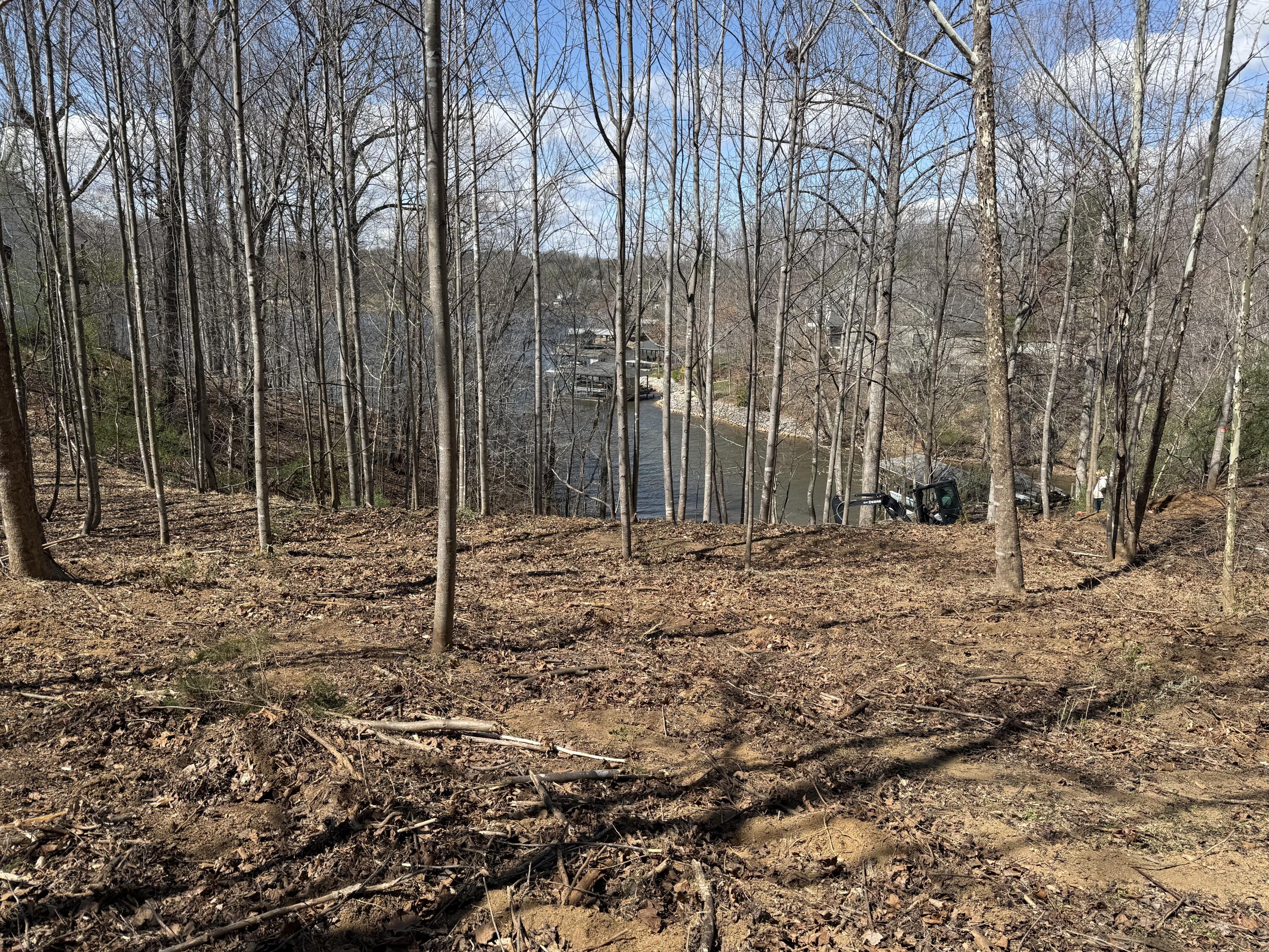 Lot 13 Minnow Lane Goodview, VA 24095 - Photo 4 of 12 a backyard of a house with lots of green space