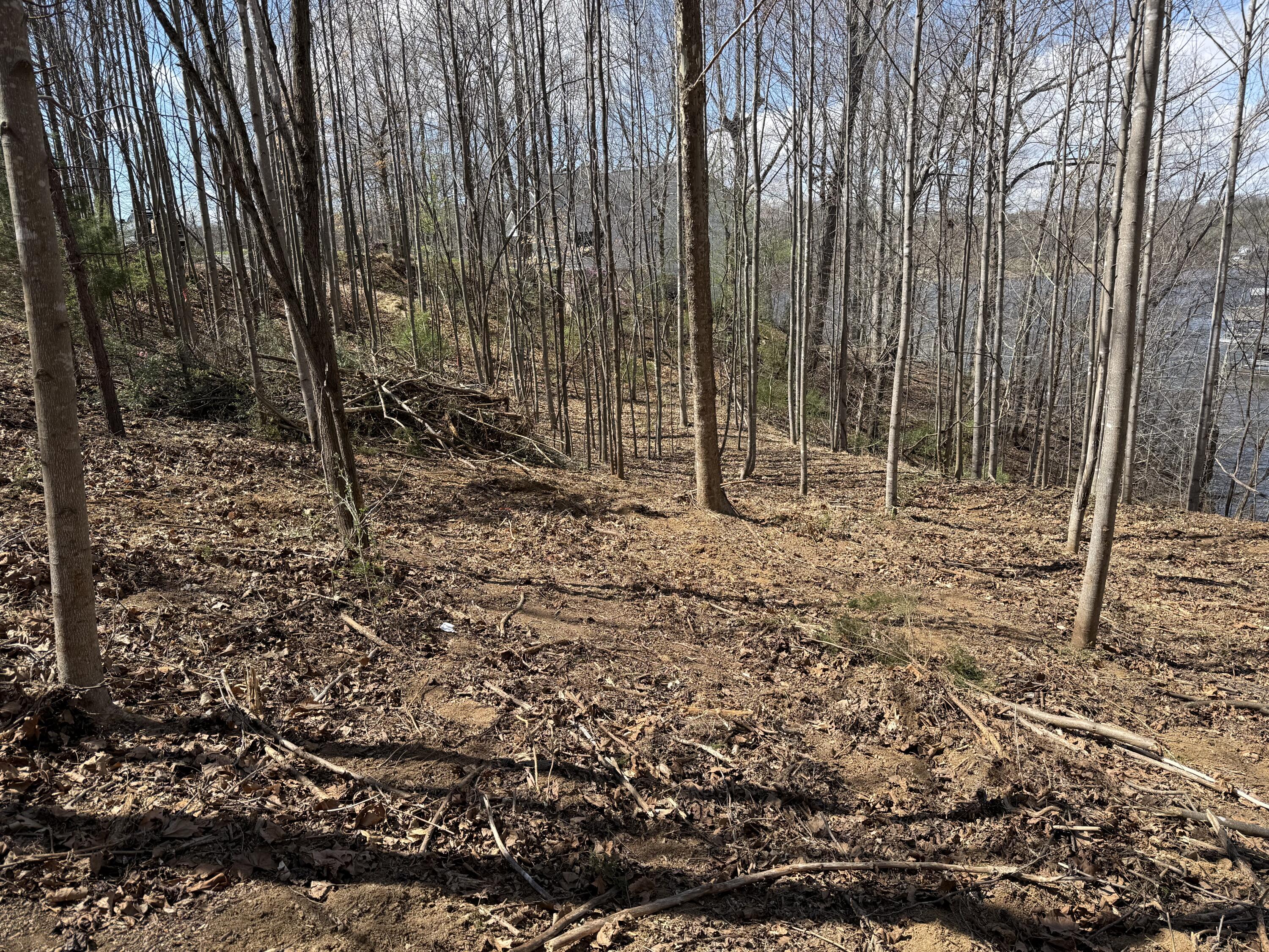 Lot 13 Minnow Lane Goodview, VA 24095 - Photo 5 of 12 a view of outdoor space with trees