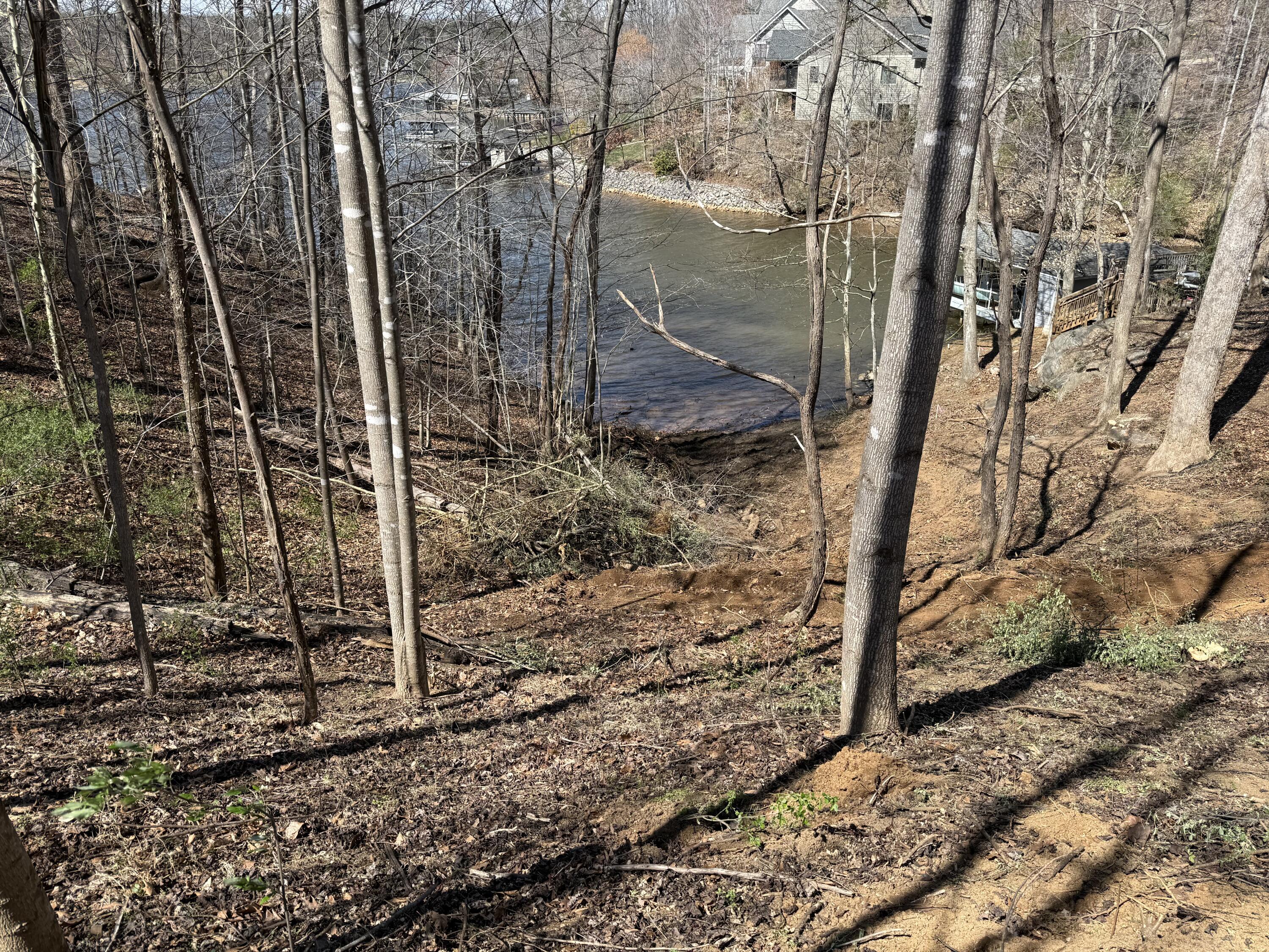 Lot 13 Minnow Lane Goodview, VA 24095 - Photo 8 of 12 a backyard of a house with lots of green space