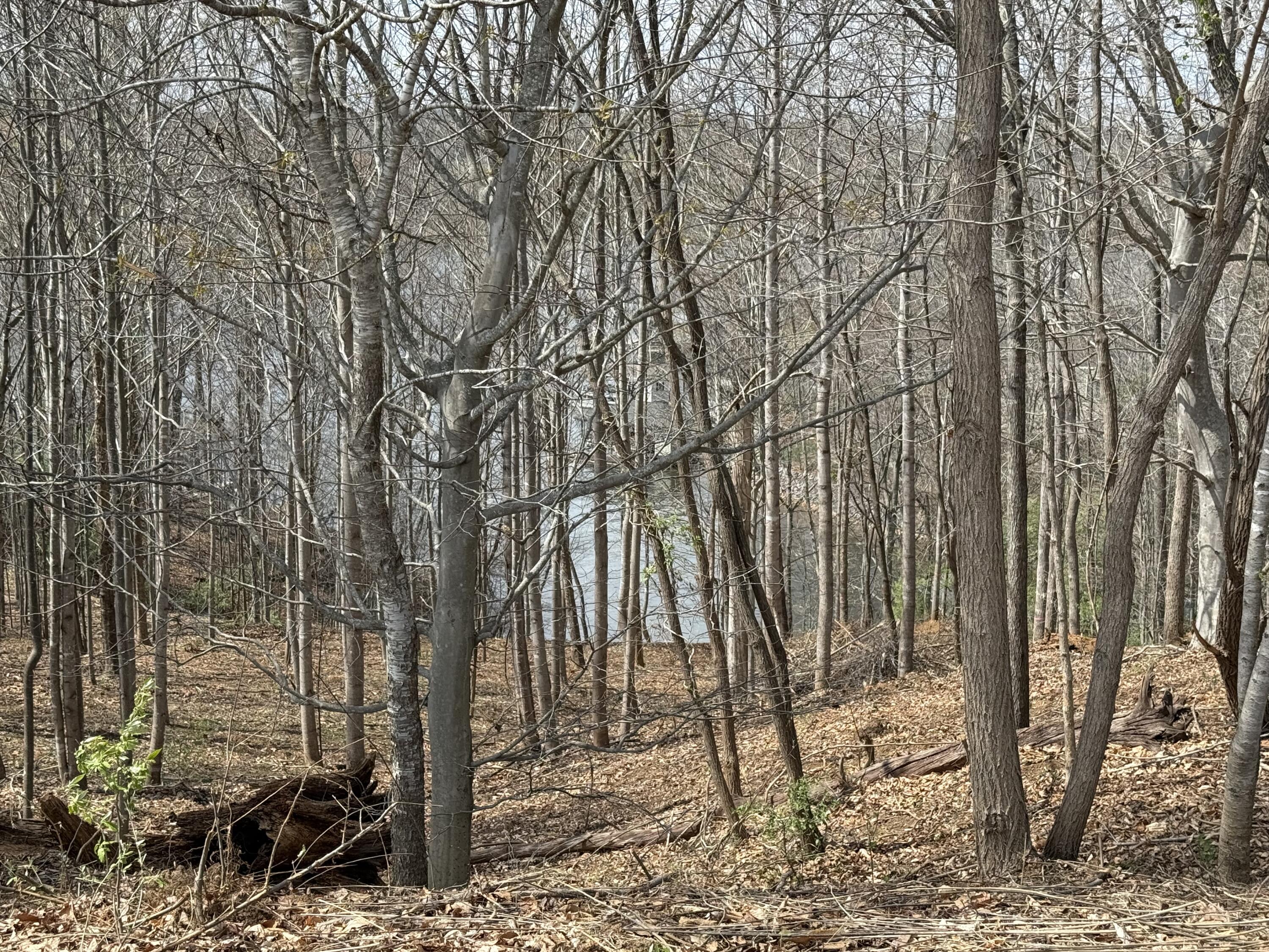 Lot 13 Minnow Lane Goodview, VA 24095 - Photo 10 of 12 a backyard of a house with lots of green space
