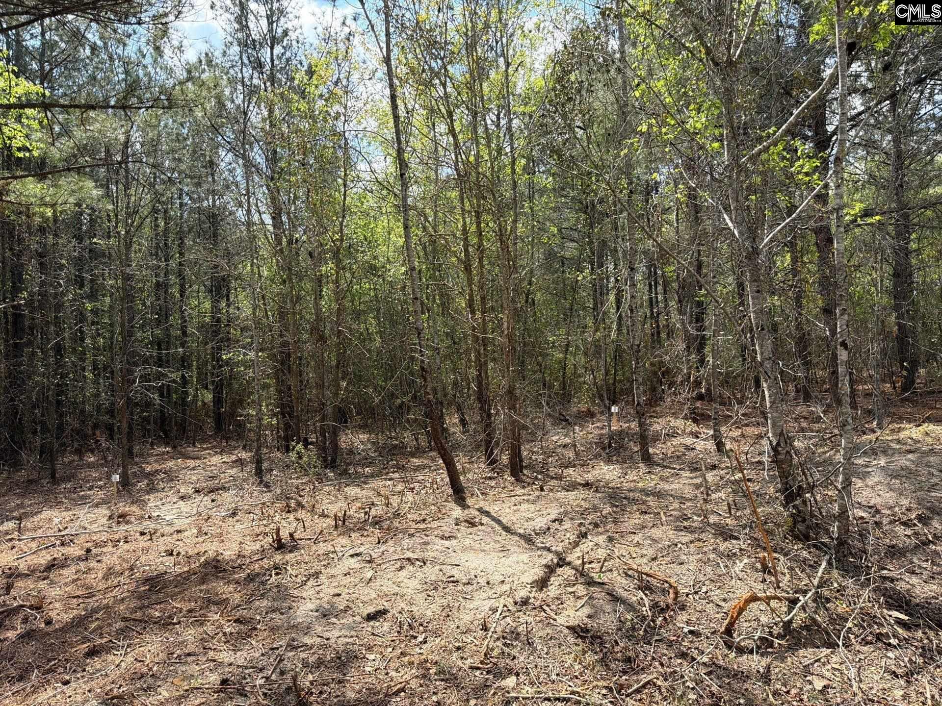 2 Mt Calvary Rd Ridge Spring, Unit CA 2 Ridge Spring, SC 29129 - Photo 13 of 29