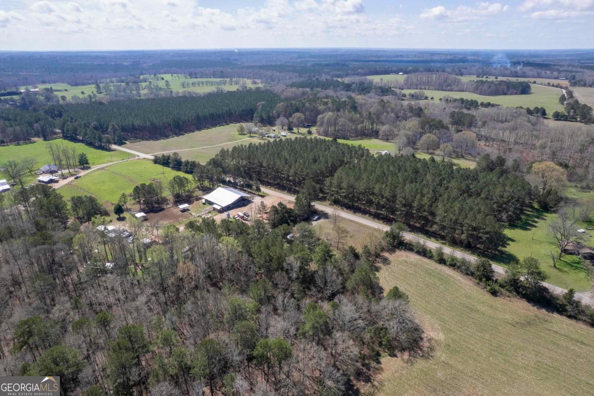 3021 Penfield Road Greensboro, GA 30642 - Photo 39 of 50 an aerial view of a residential houses covered in trees