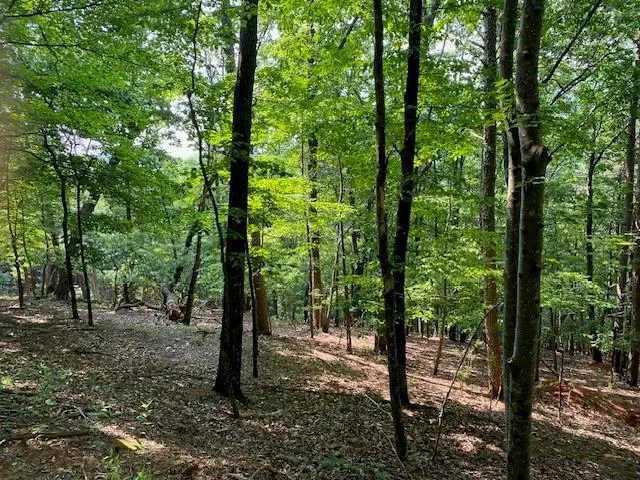 a view of outdoor space and trees