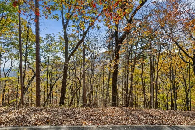 a backyard of a house with lots of trees