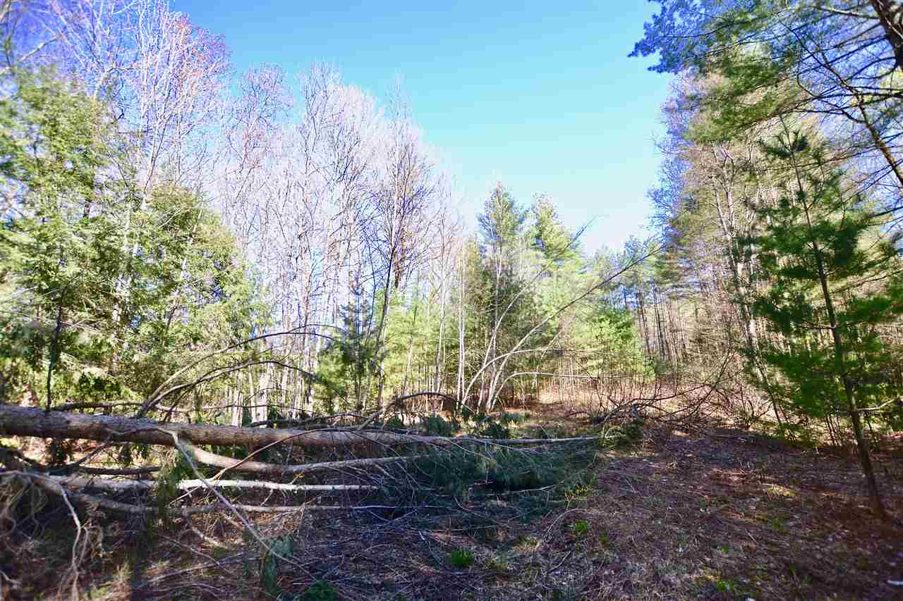 41 Countryside Road Waterbury, VT 05676 - Photo 23 of 27 Gallery Image 23