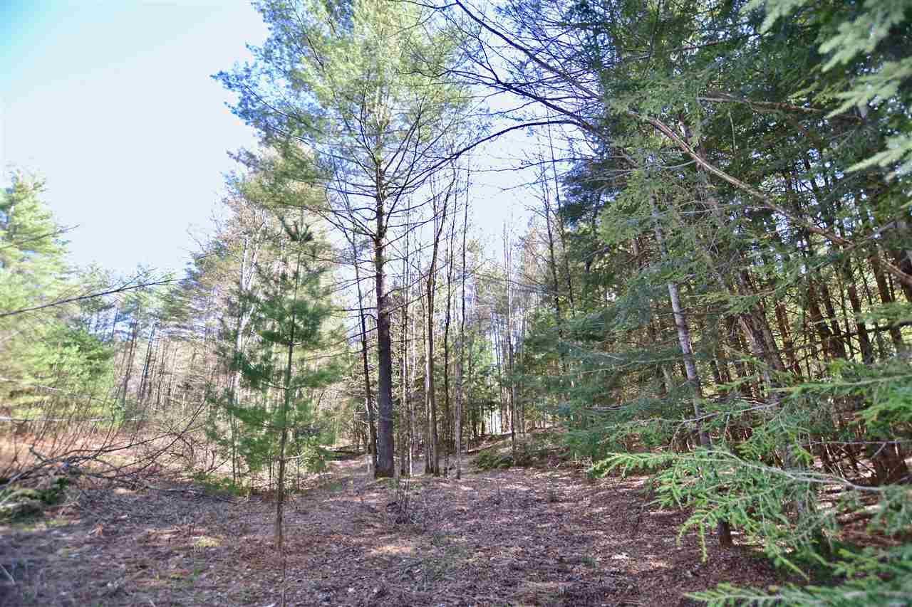 41 Countryside Road Waterbury, VT 05676 - Photo 5 of 27 Gallery Image 5